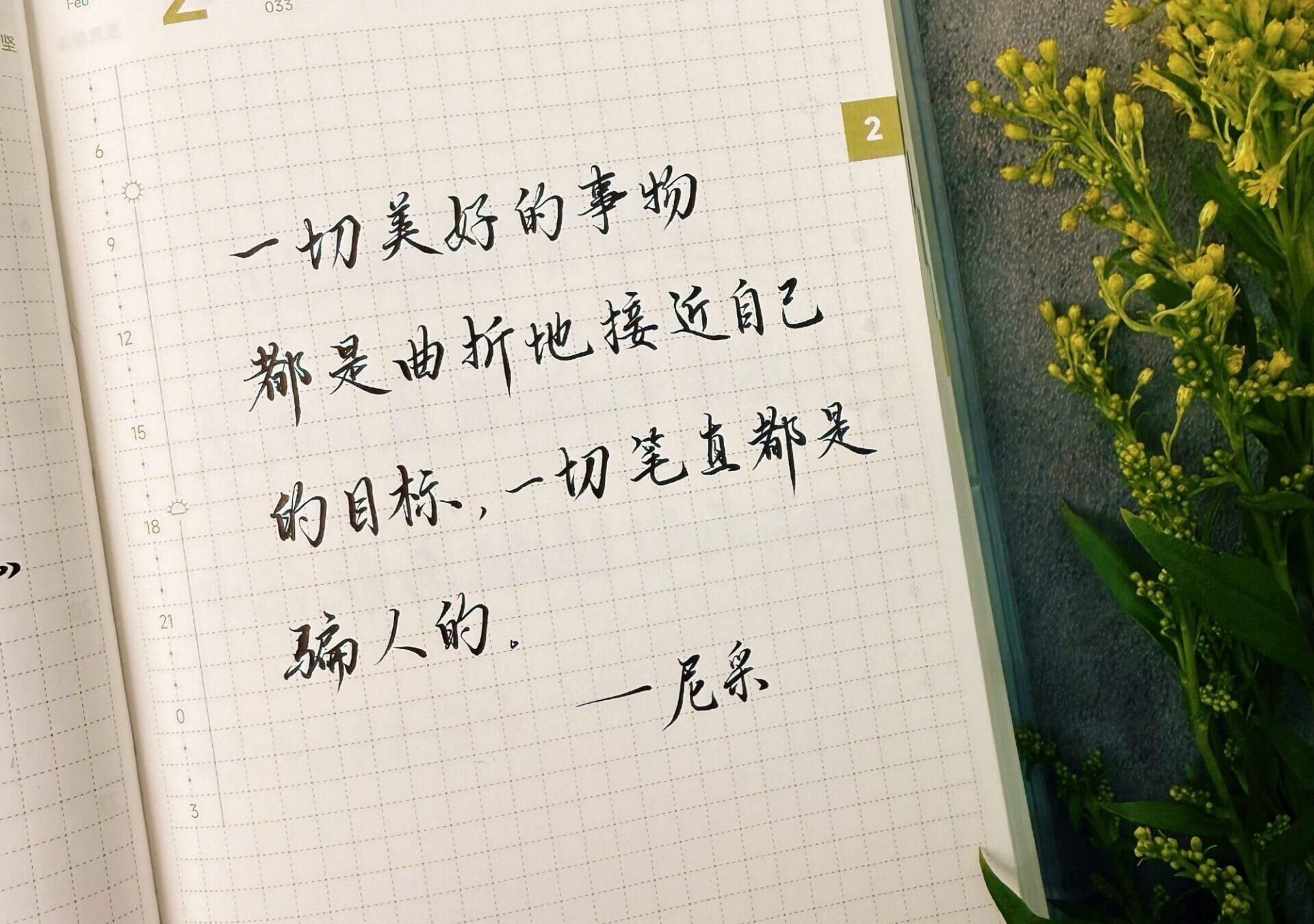 尼采的成长启示：美好且曲折