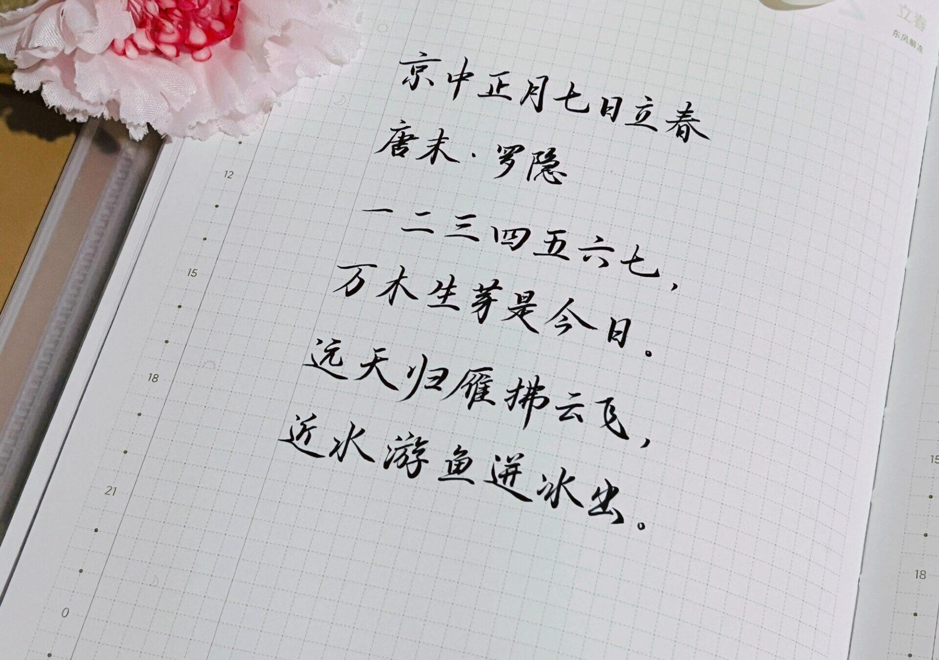 立春|二十四节气|乙巳年