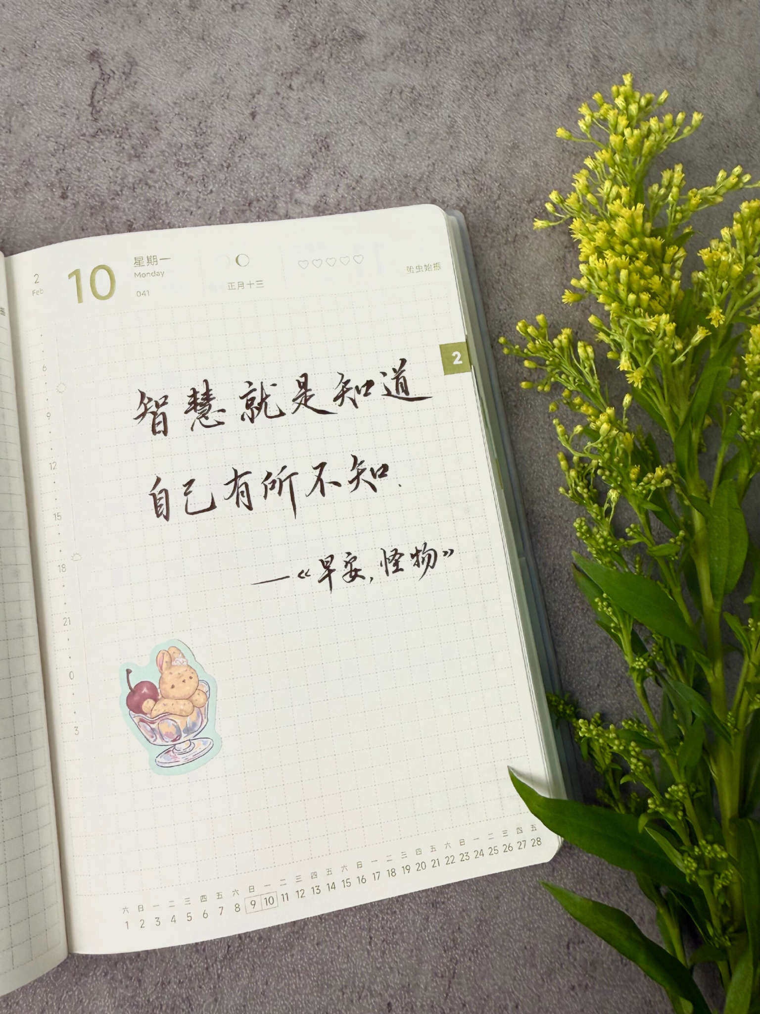 自在手帐2025年2月10日