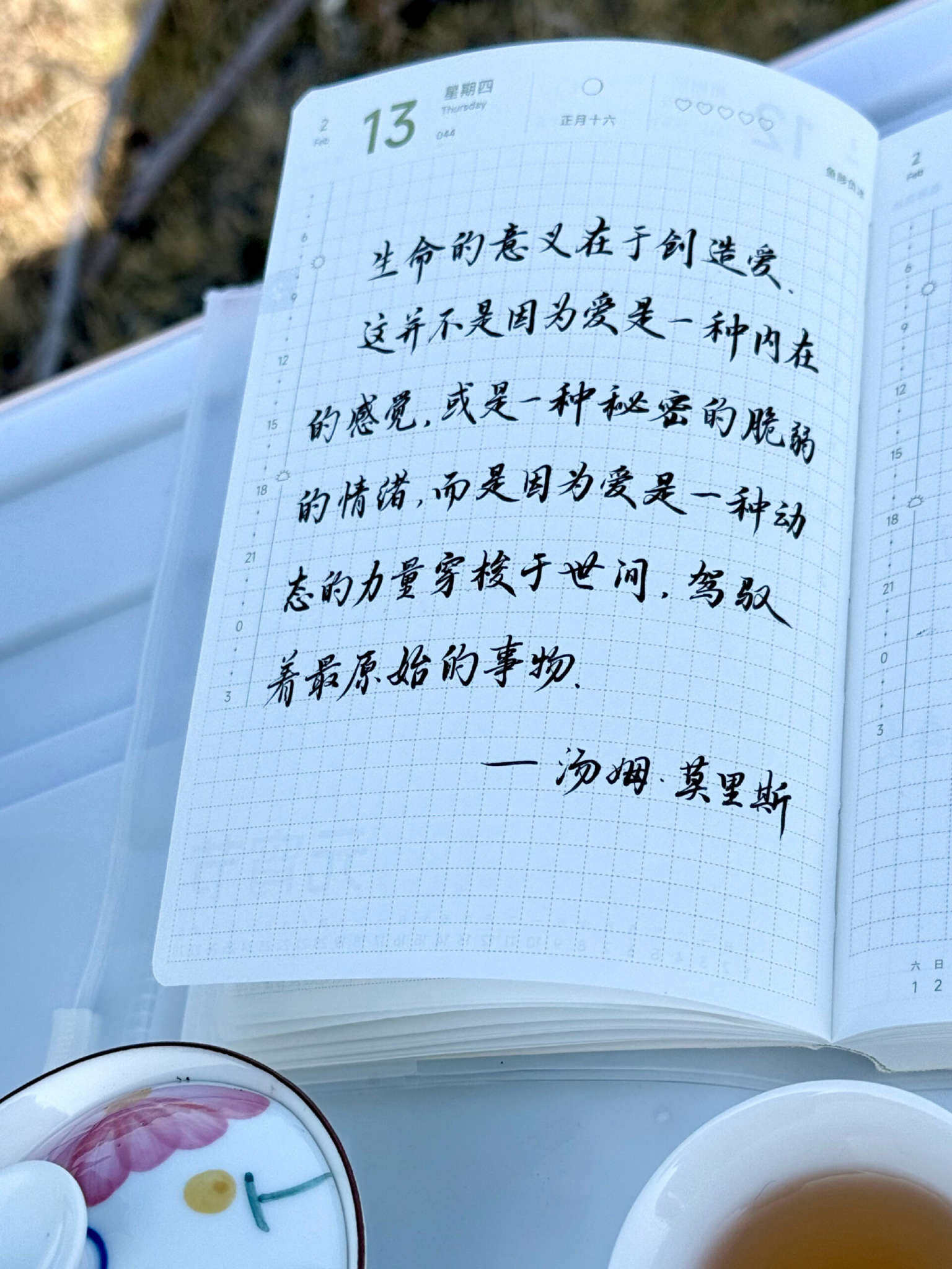 自在手帐2025年2月13日