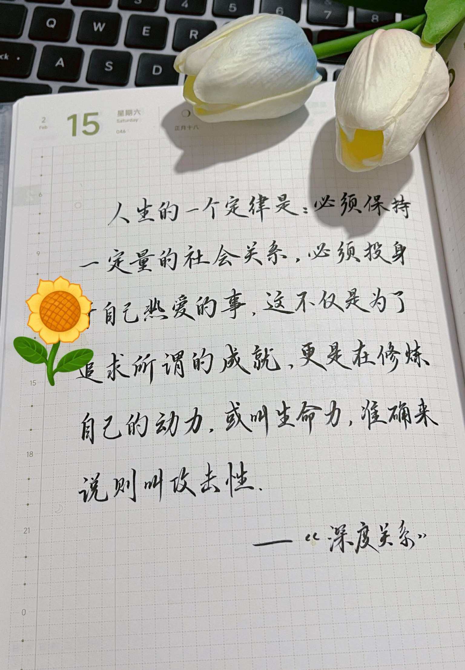 自在手帐2025年2月15日