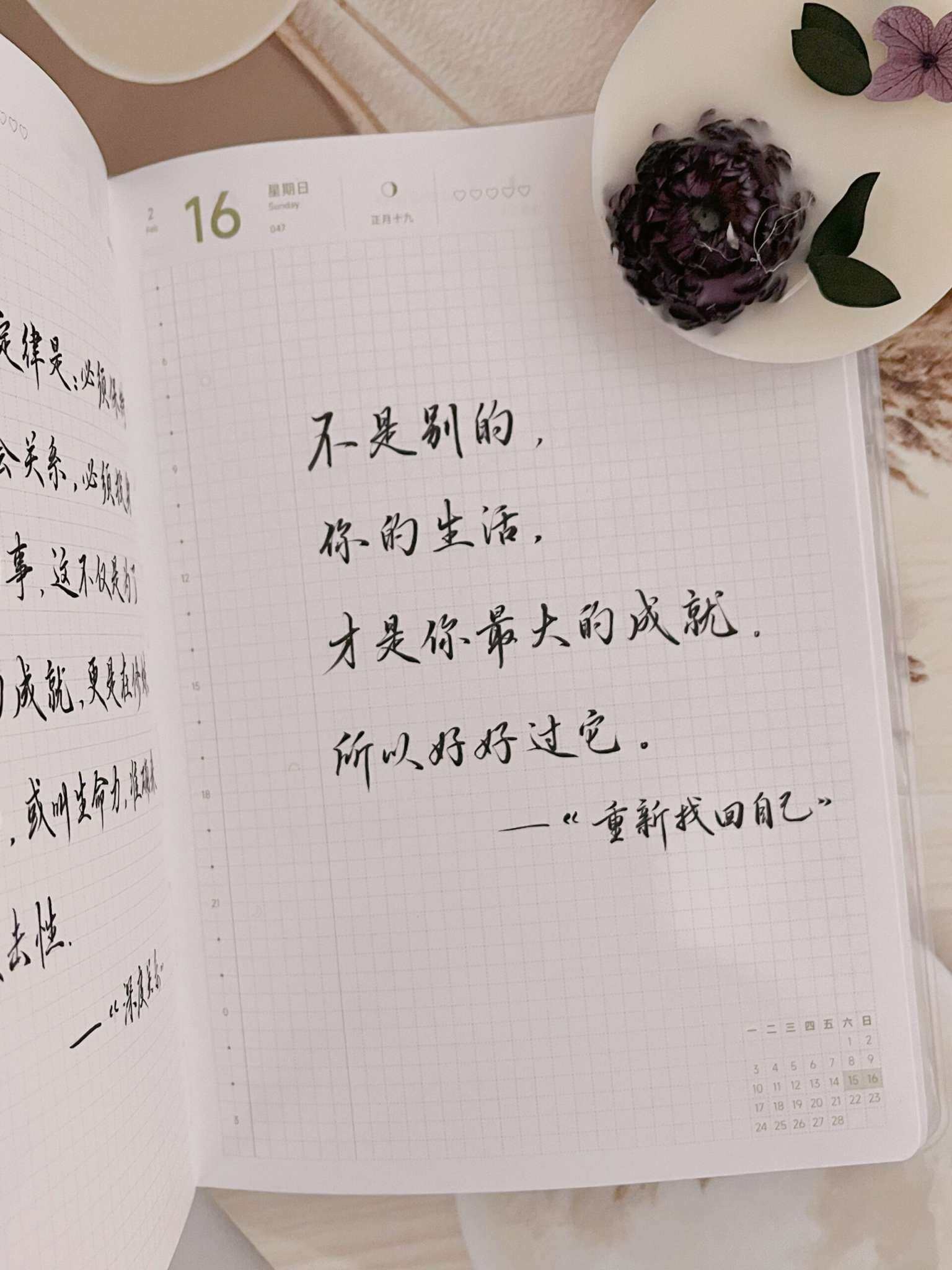 自在手帐2025年2月16日