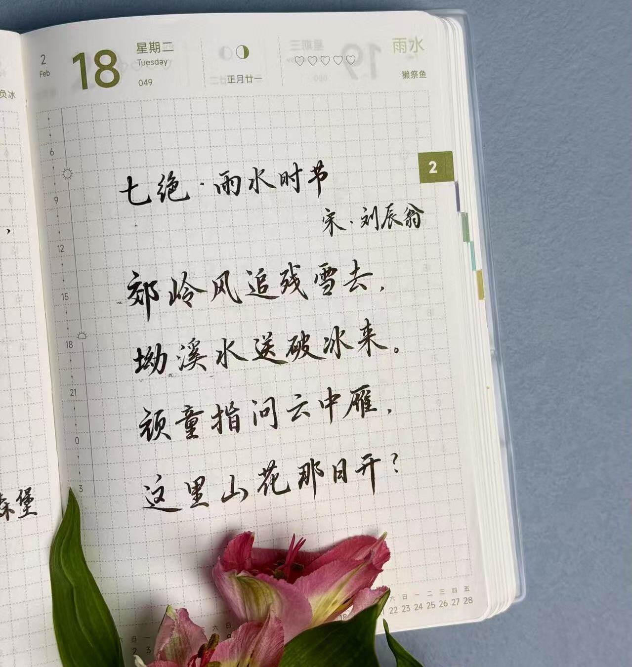 雨水|二十四节气|乙巳年