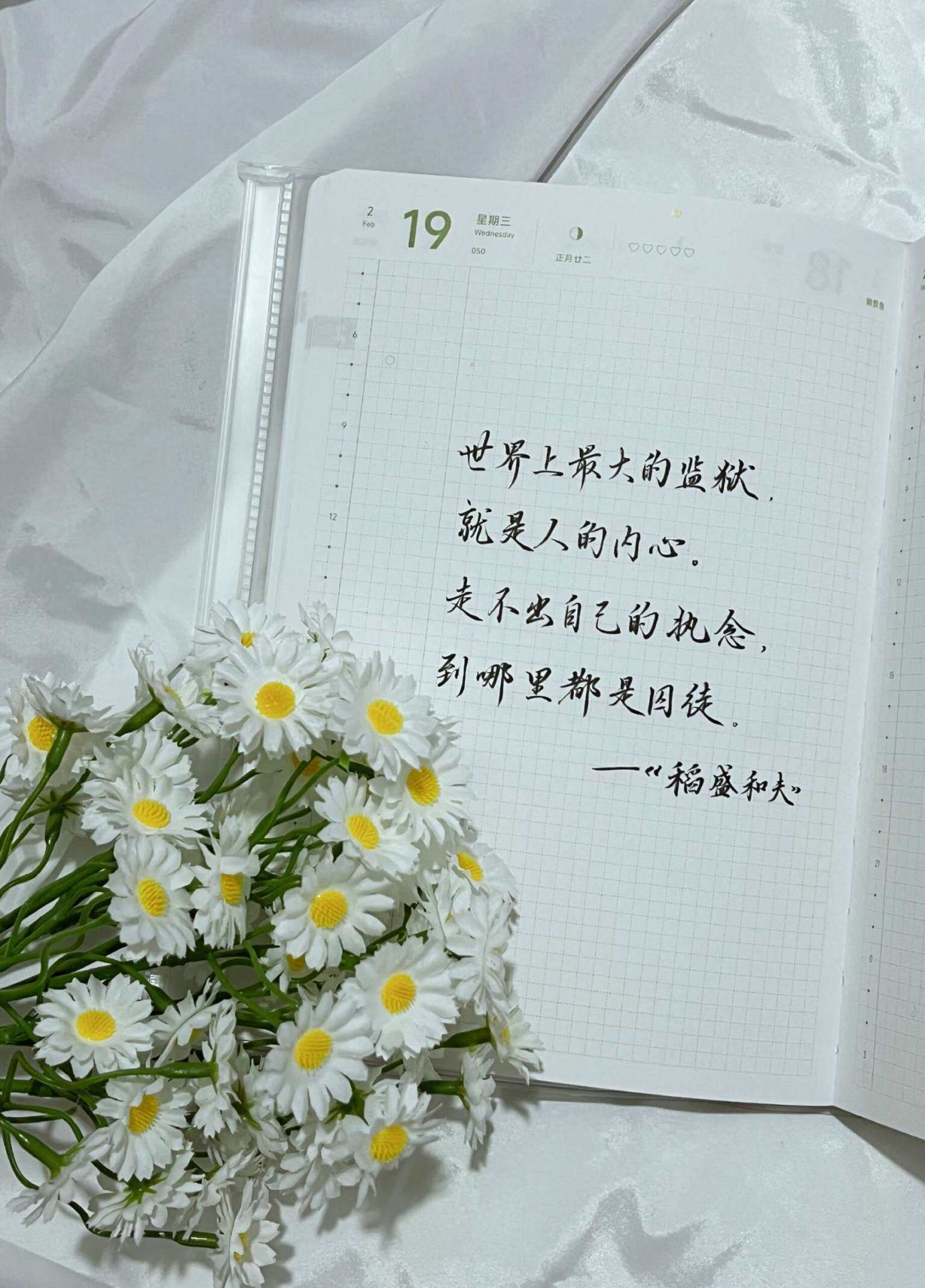 自在手帐2025年2月19日