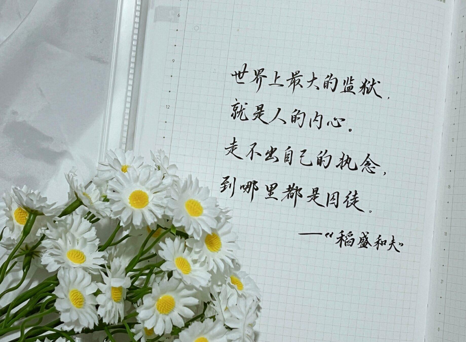 别让执念困住你