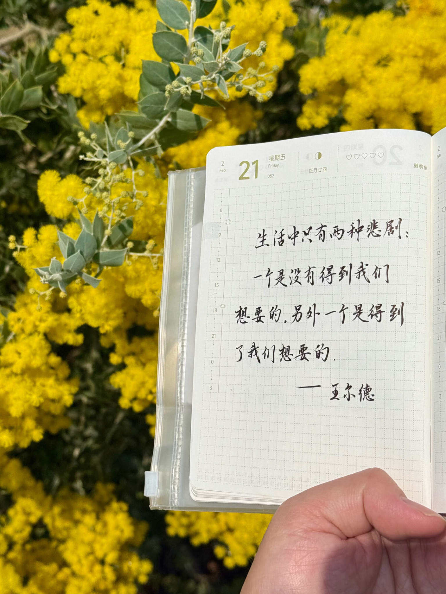 自在手帐2025年2月21日