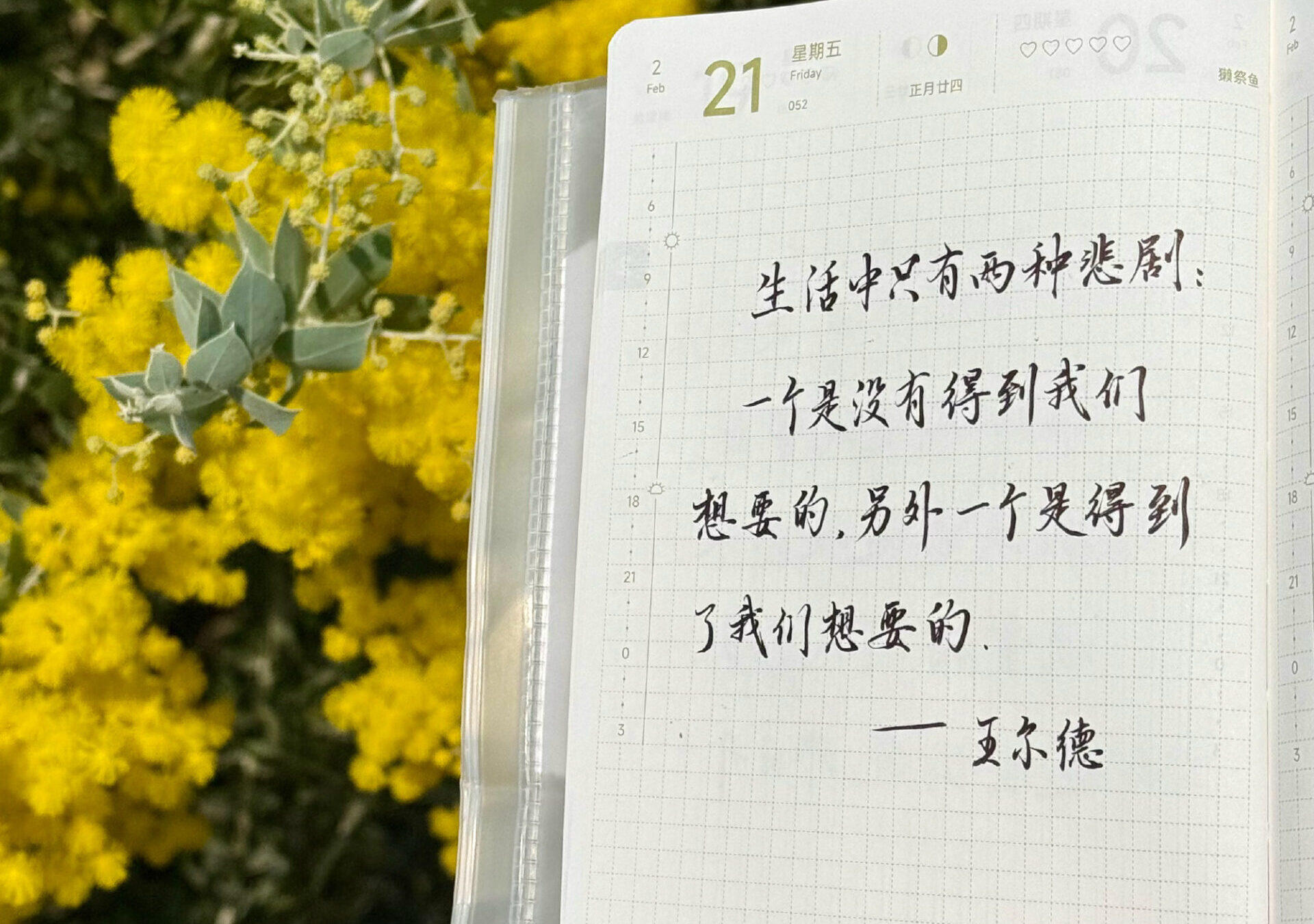 得到了也悲剧？