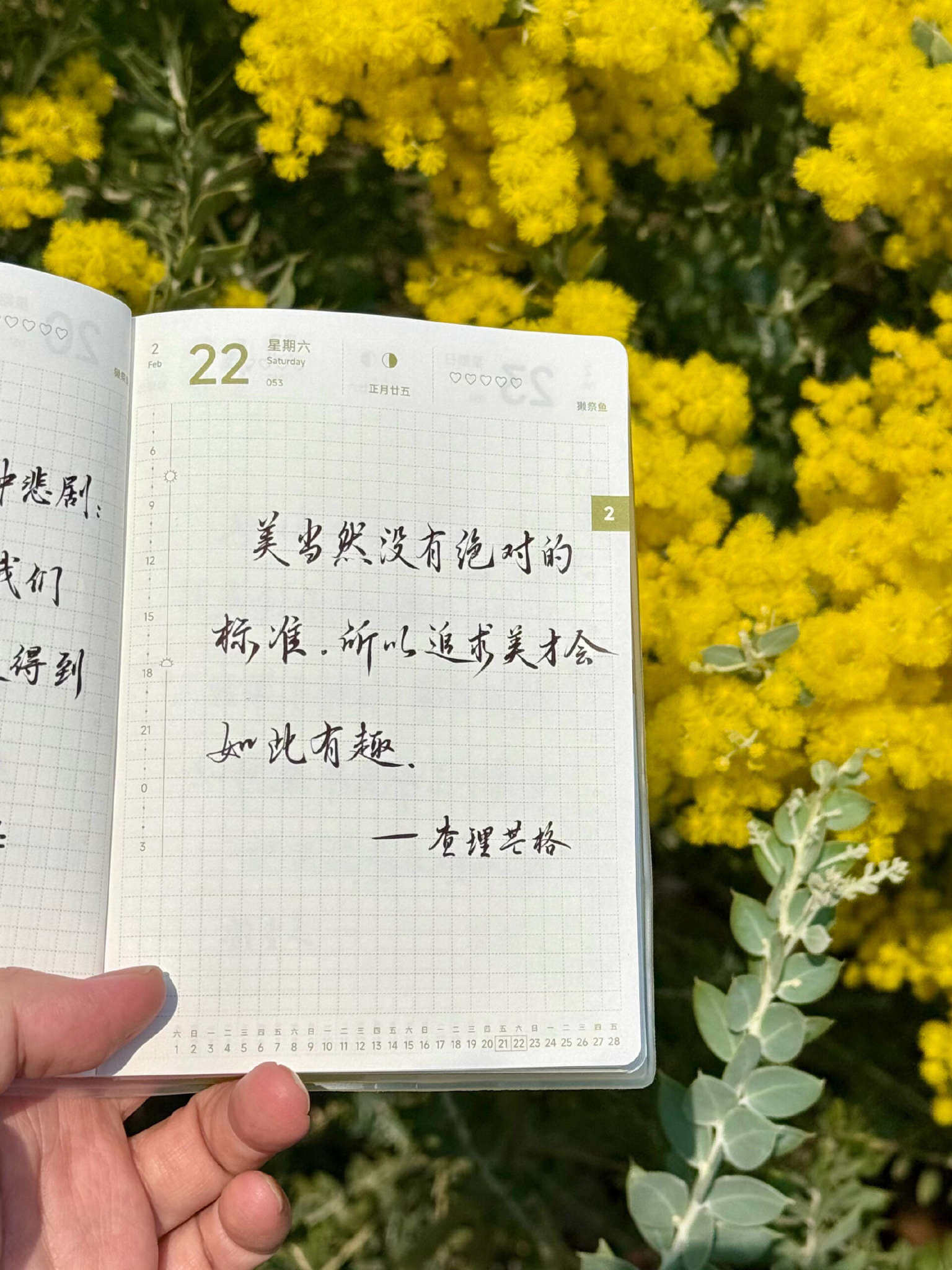 自在手帐2025年2月22日