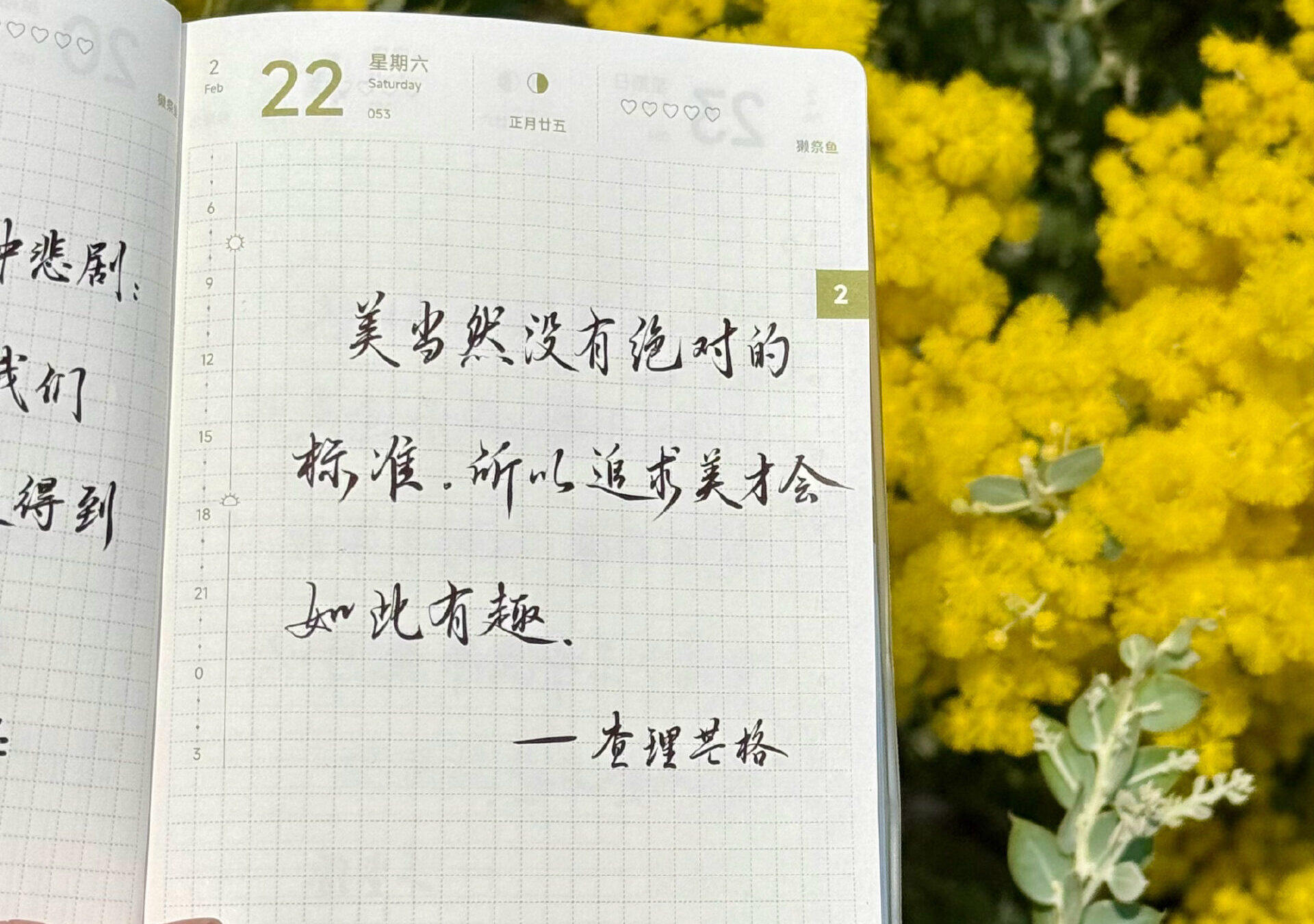 美没有标准