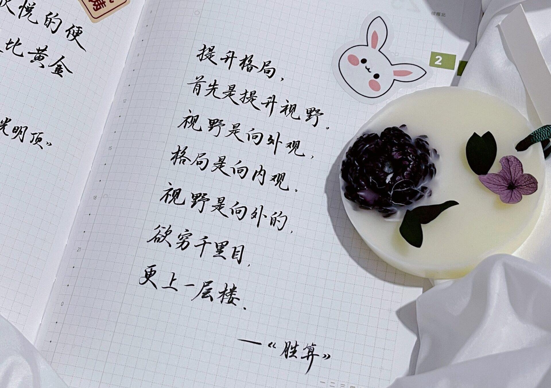 提升视野=提升格局