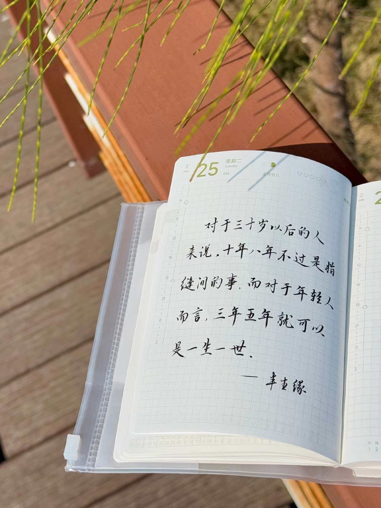 自在手帐2025年2月25日