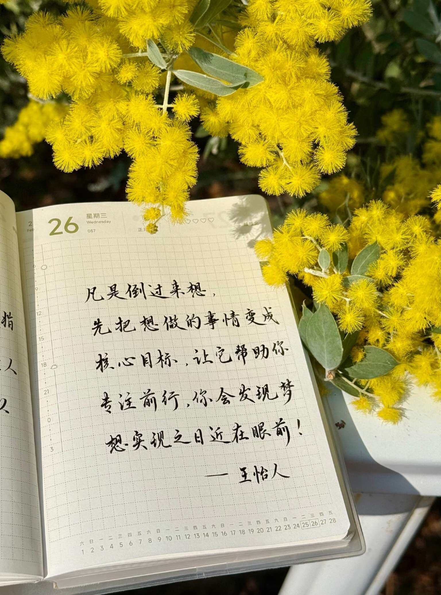 自在手帐2025年2月26日