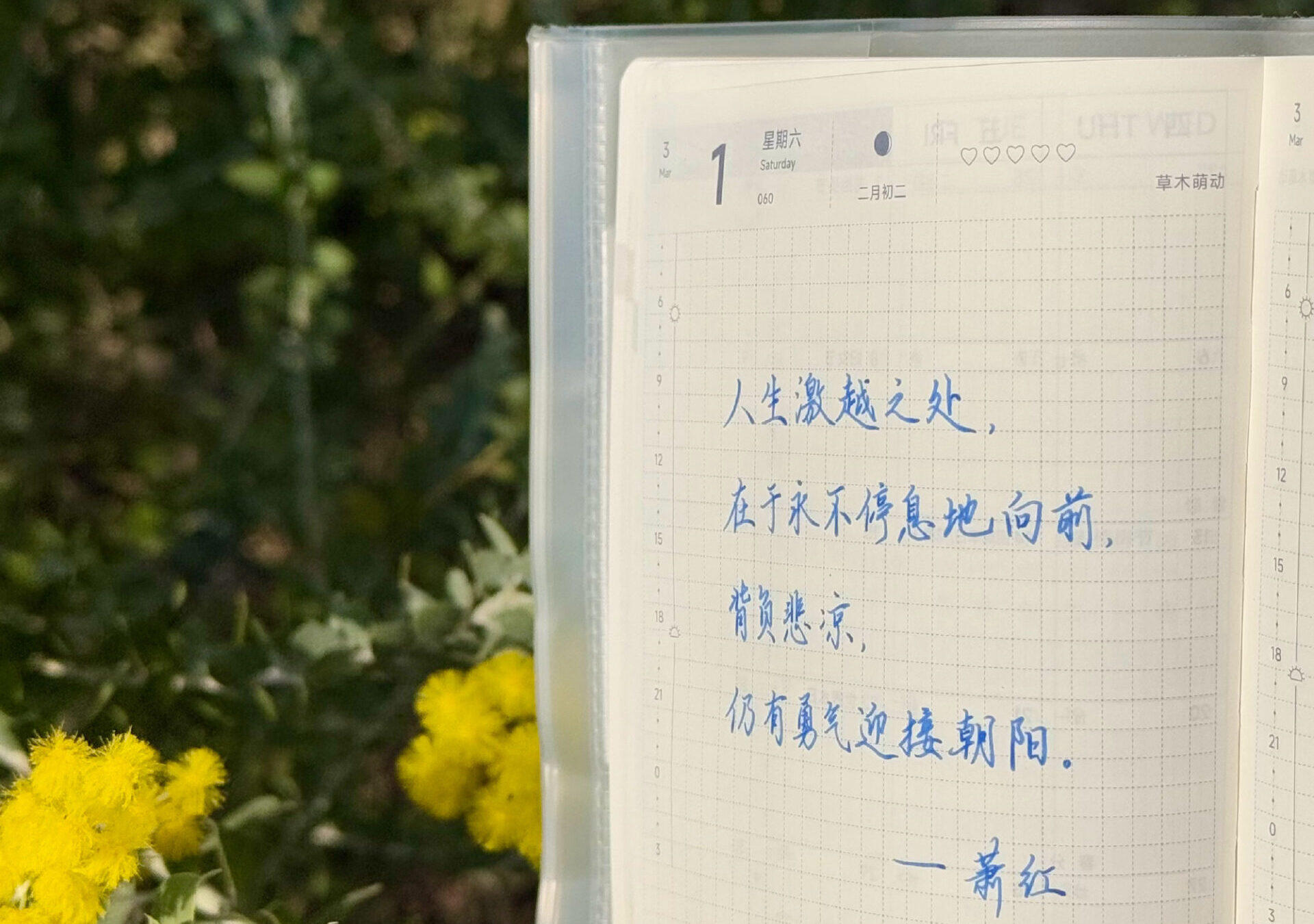 背负悲凉，也要迎接朝阳！