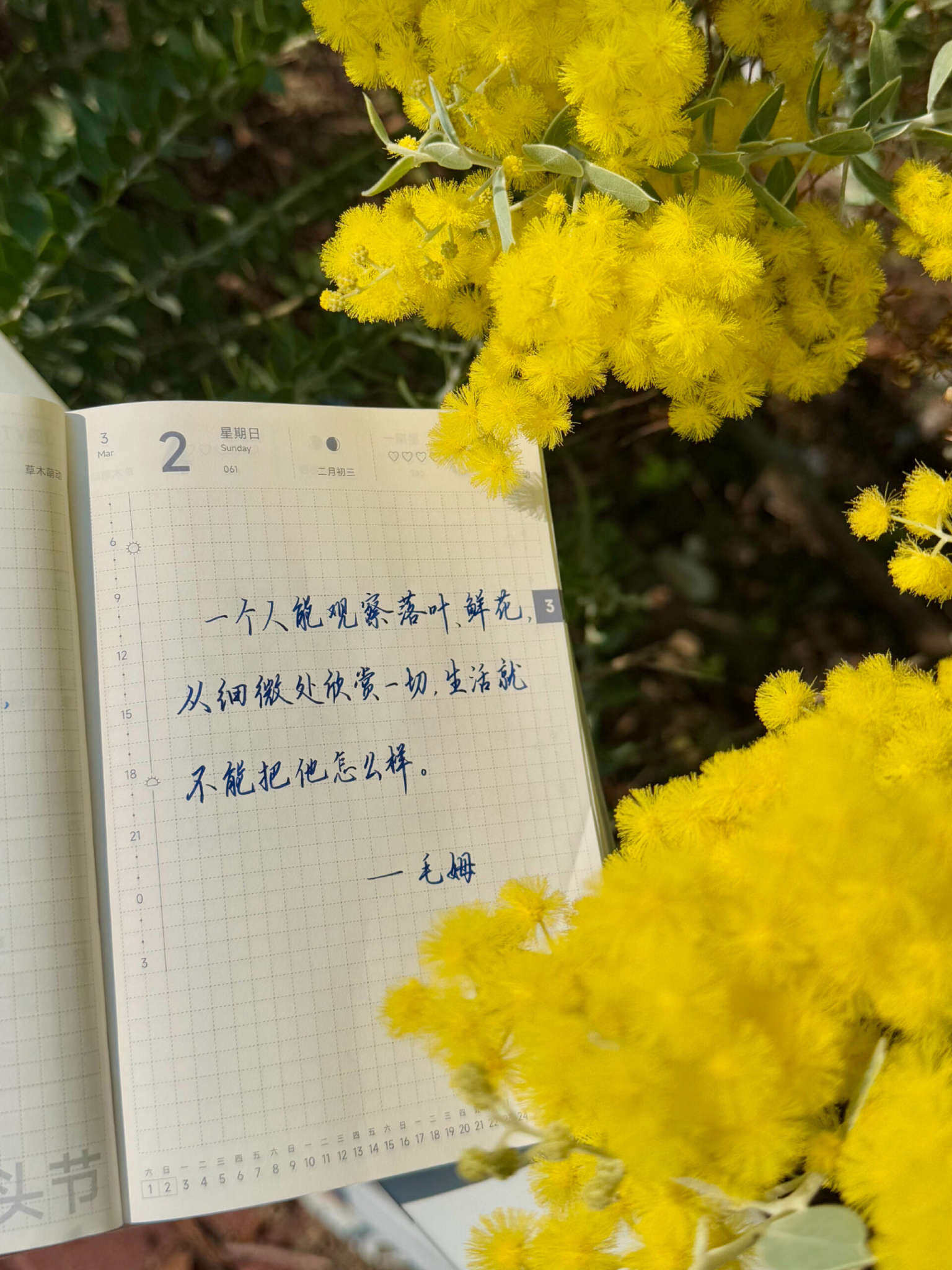 自在手帐2025年3月2日