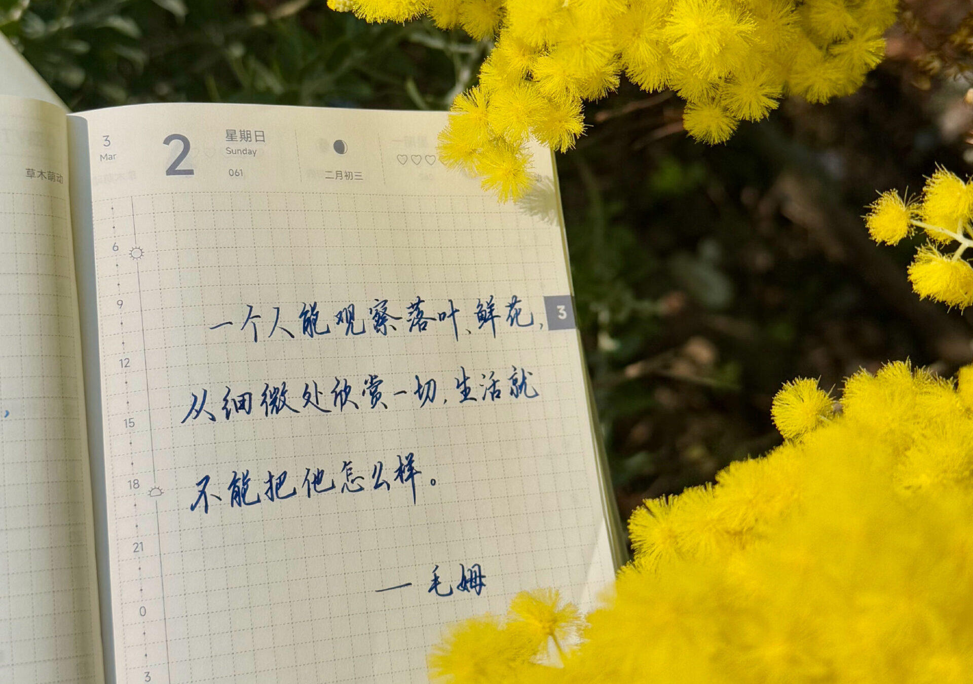 从细微处欣赏一切