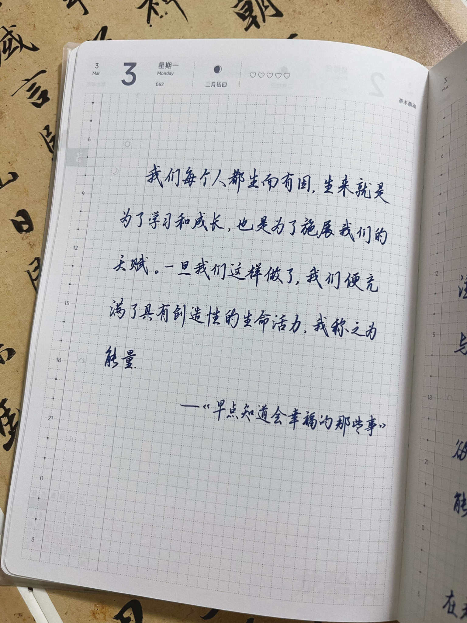 自在手帐2025年3月3日