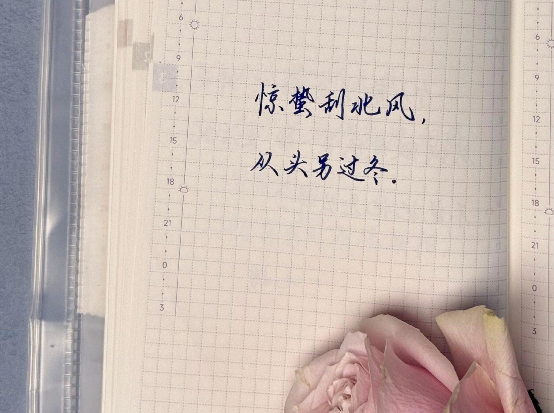 惊蛰|二十四节气|乙巳年