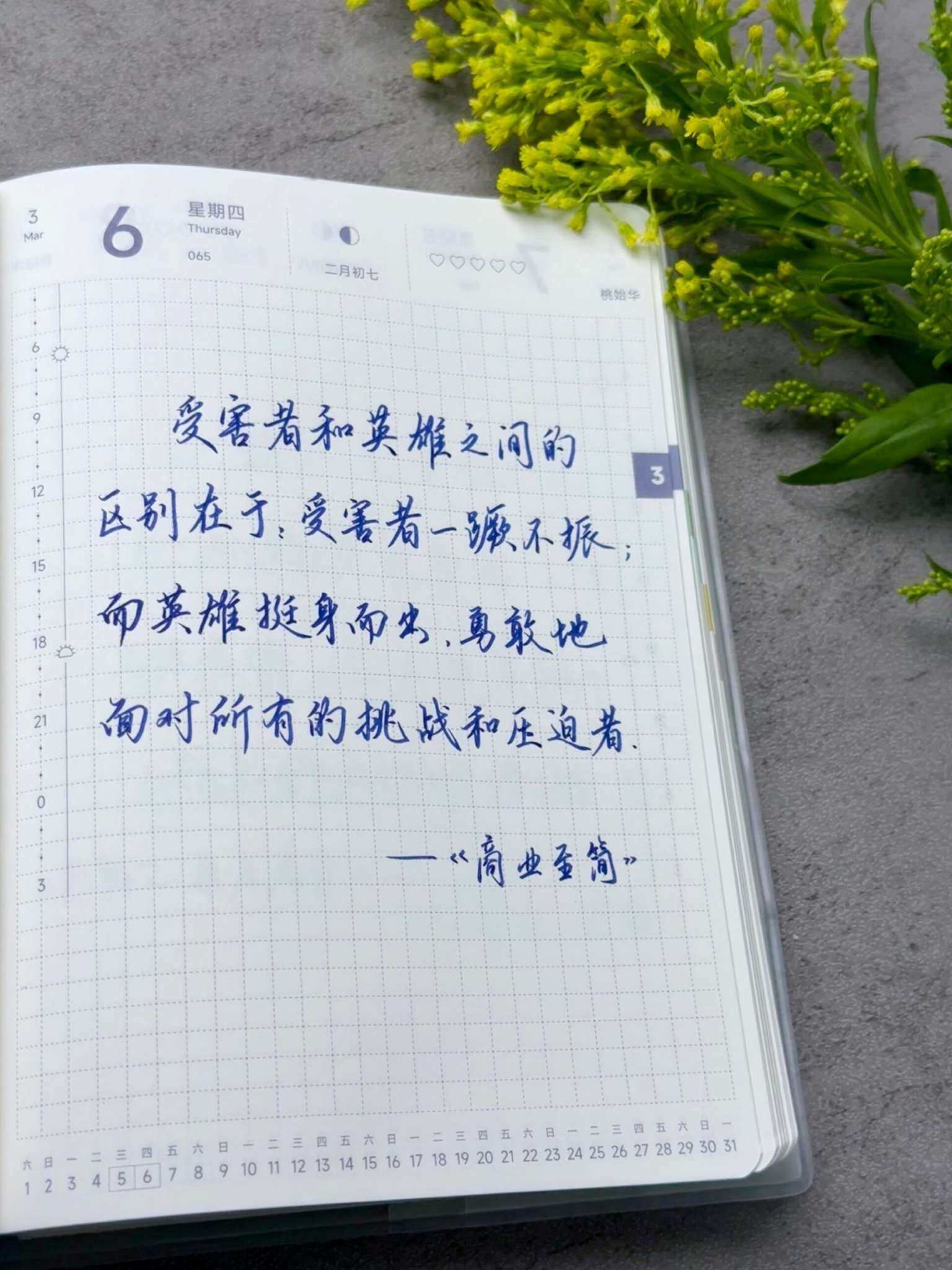 自在手帐2025年3月6日