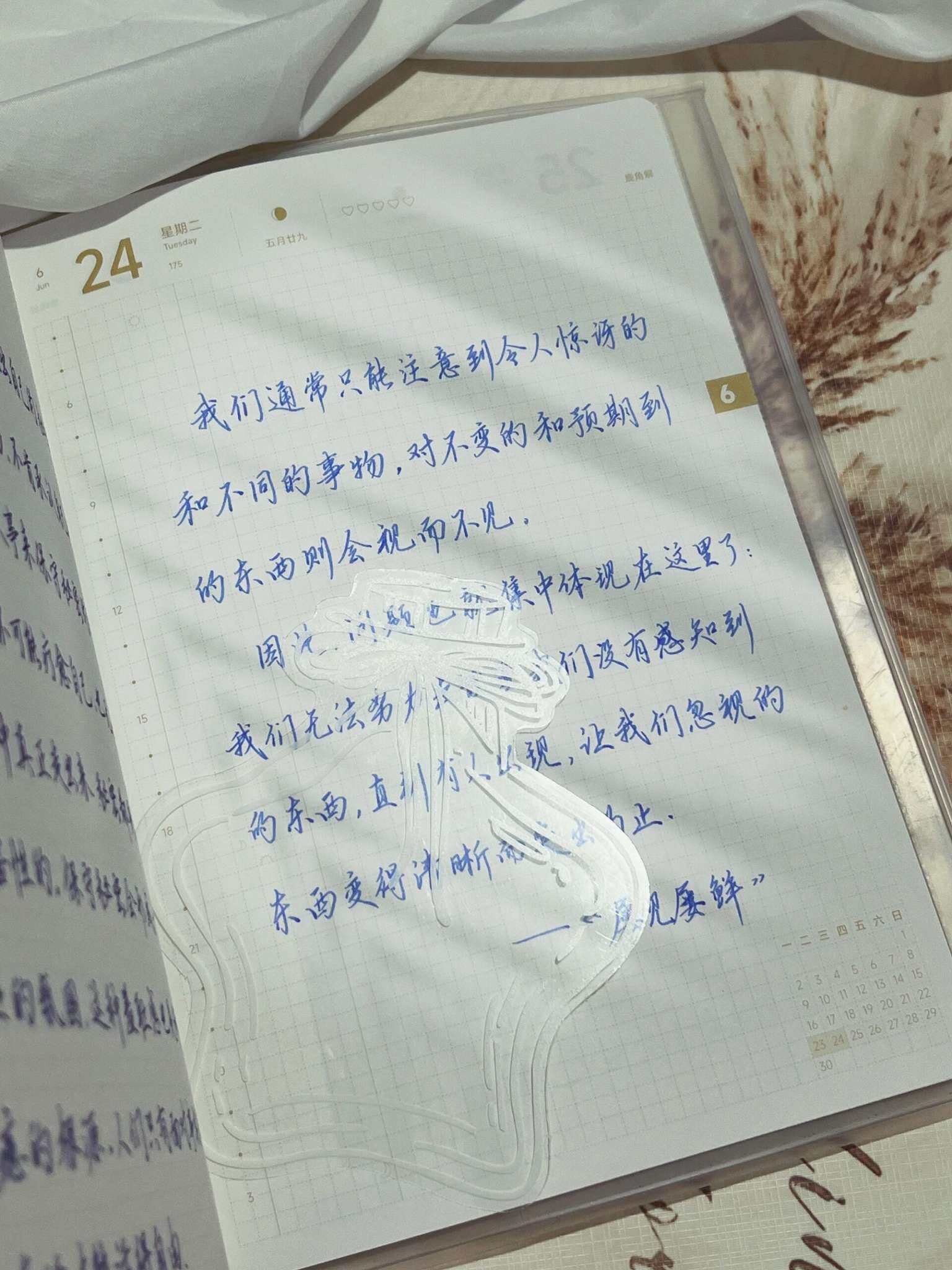 自在手帐2025年6月24日