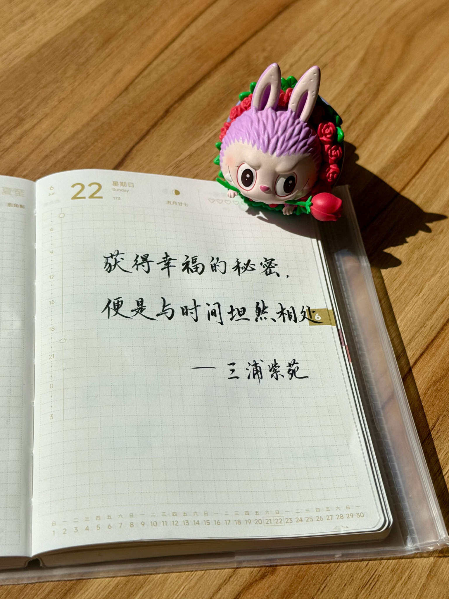 自在手帐2025年6月22日