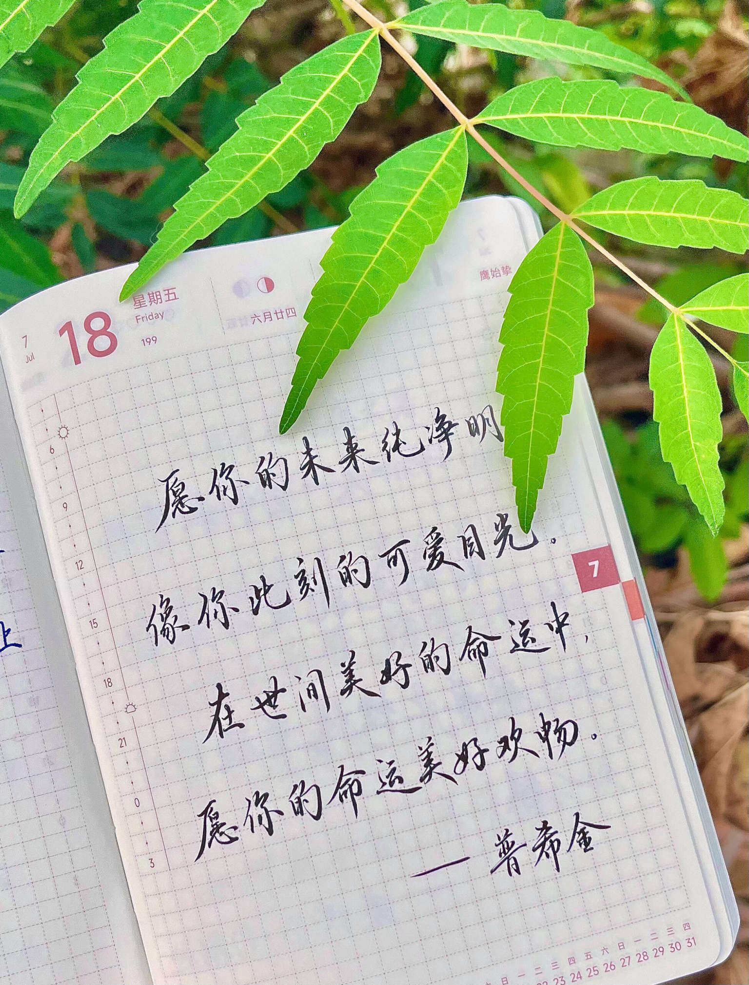 自在手帐2025年7月18日