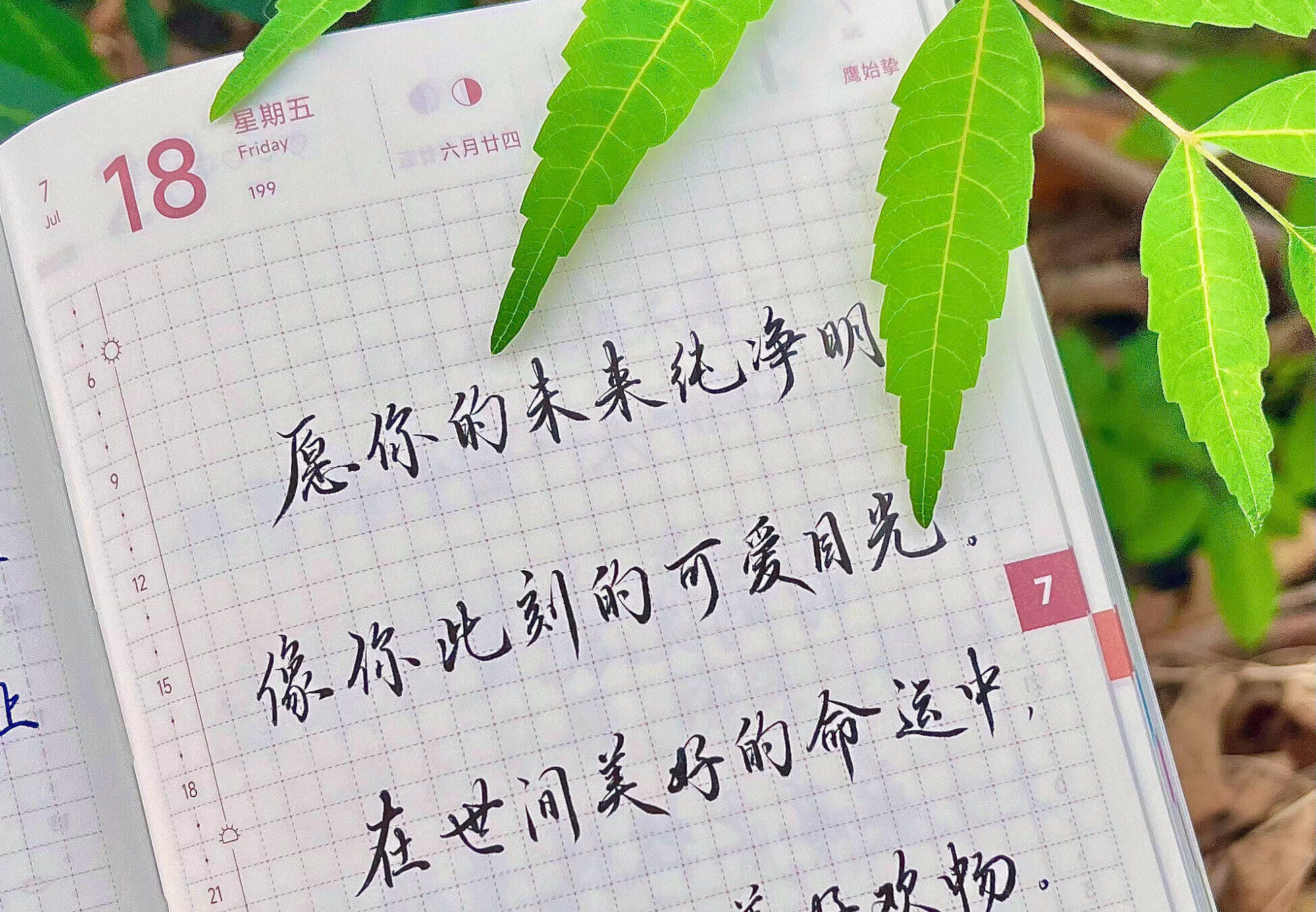 你值得世间所有的美好