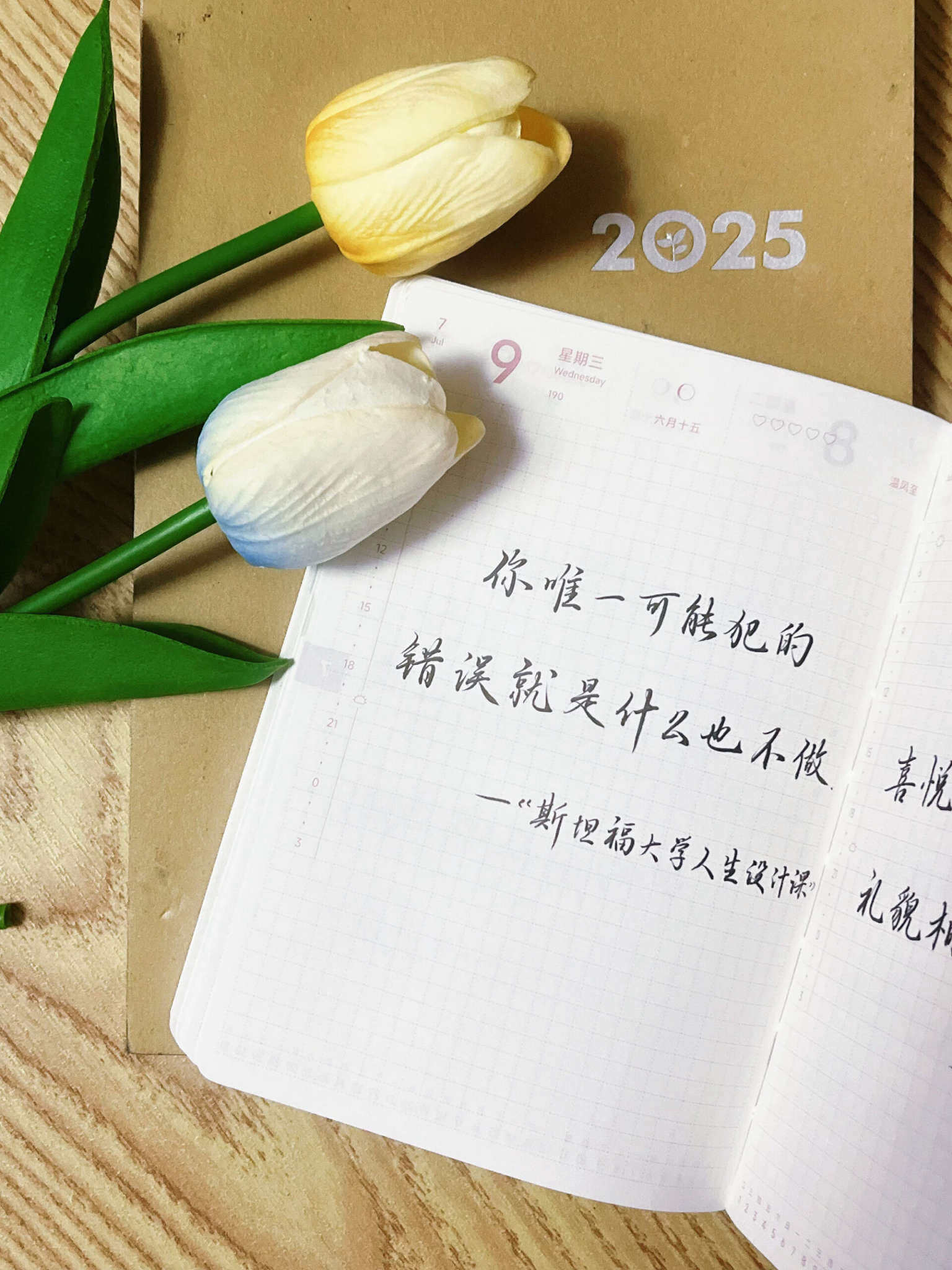 自在手帐2025年7月9日