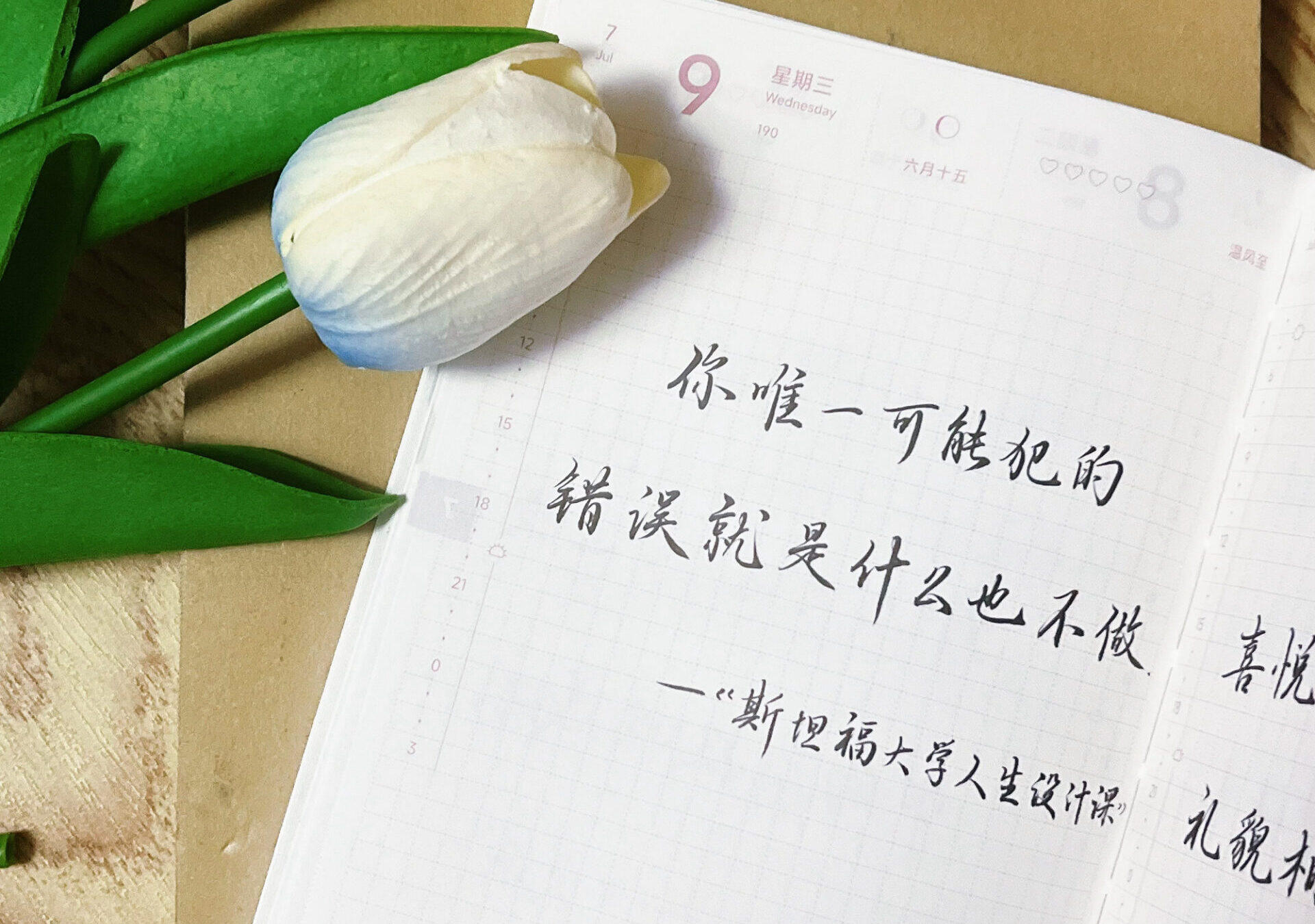 什么也不做，才是最大错误！