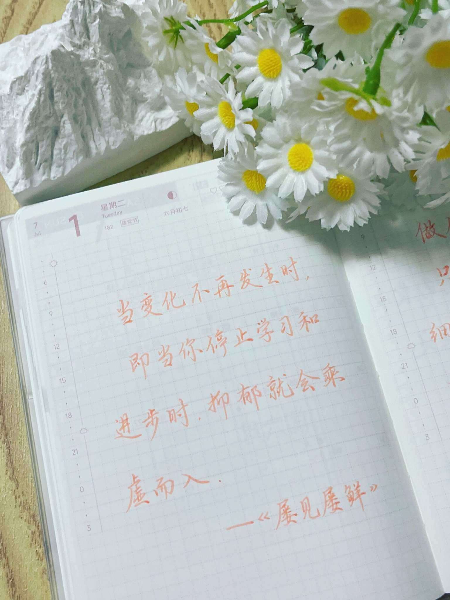 自在手帐2025年7月1日