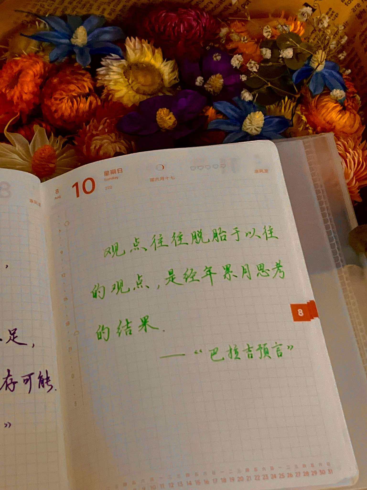 自在手帐2025年8月10日