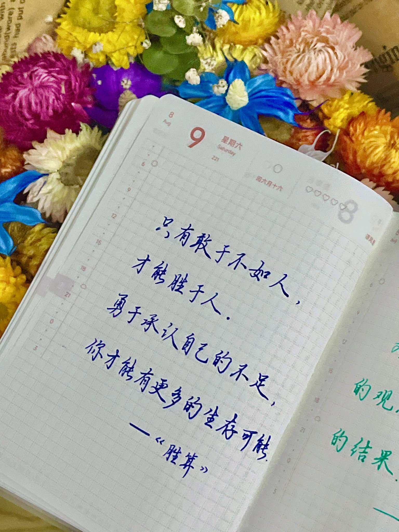 自在手帐2025年8月9日