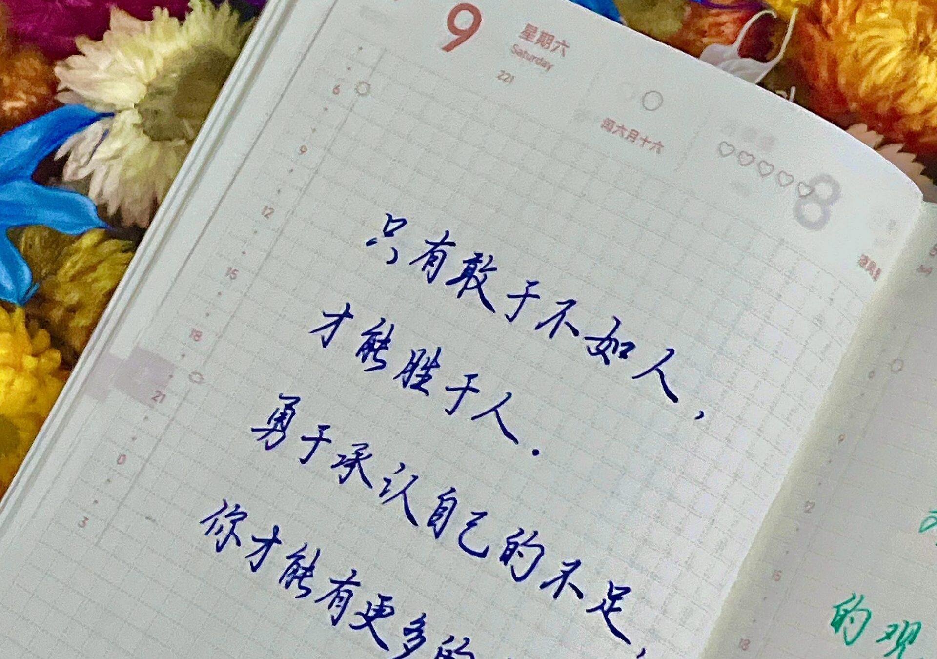 敢输赢=真赢家