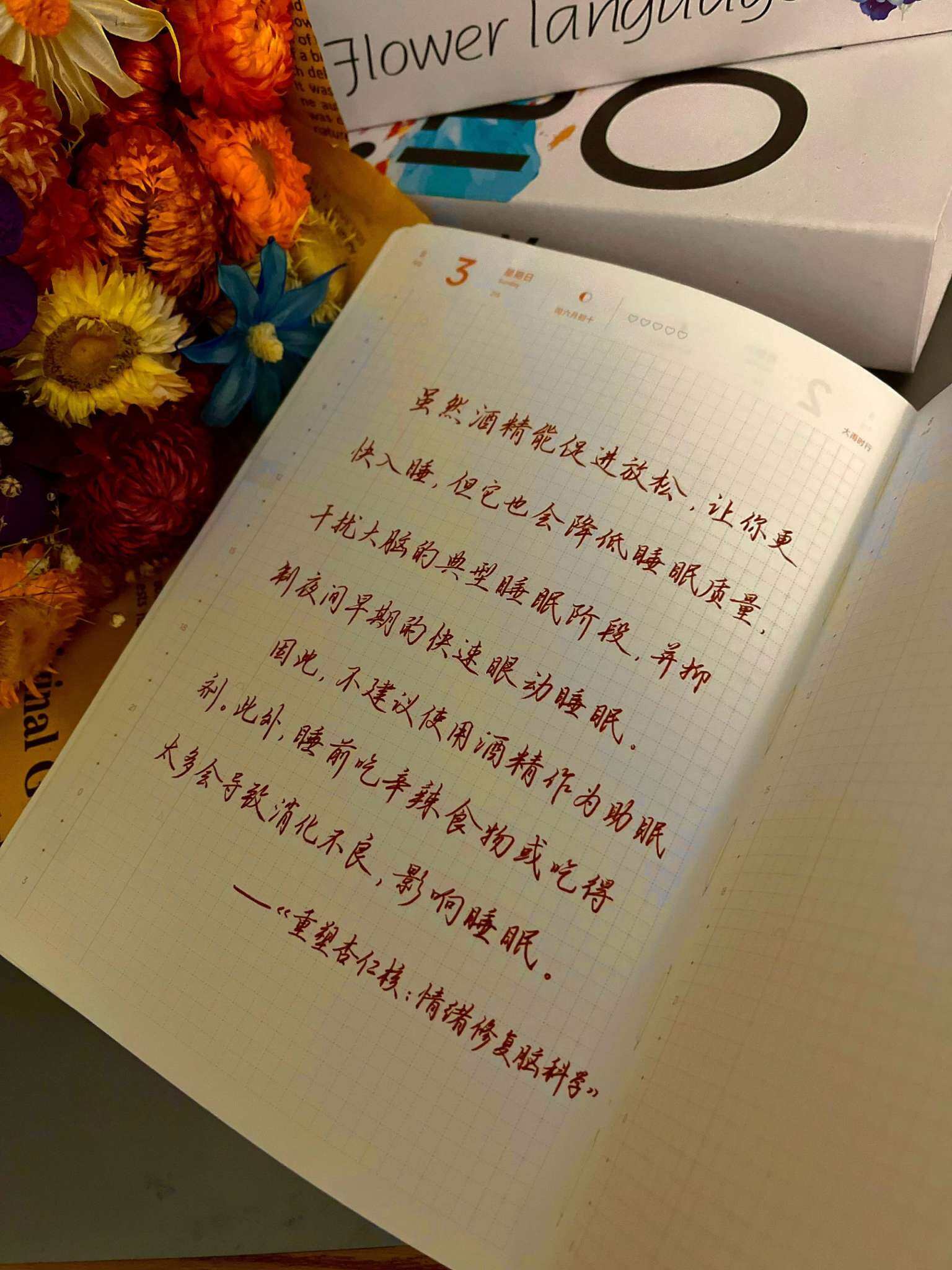 自在手帐2025年8月3日