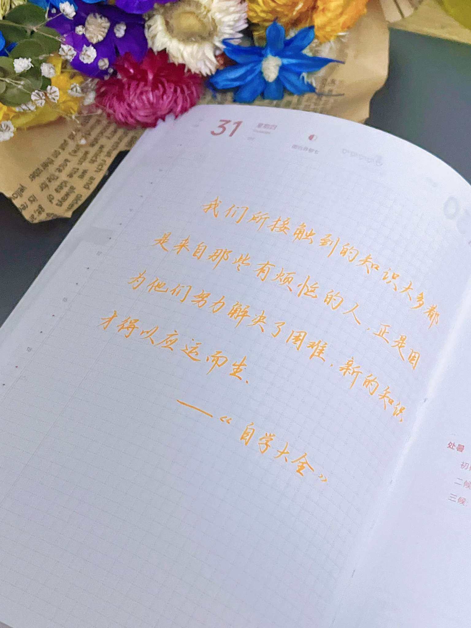 自在手帐2025年7月31日