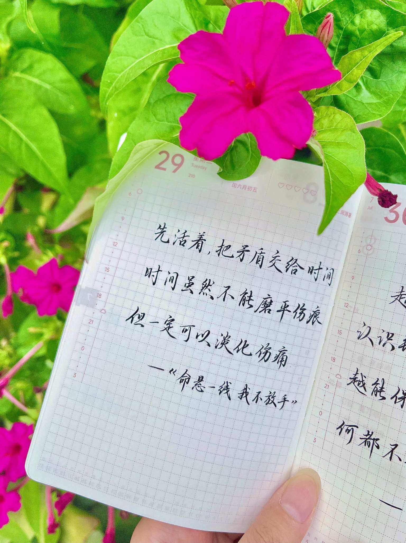 自在手帐2025年7月29日