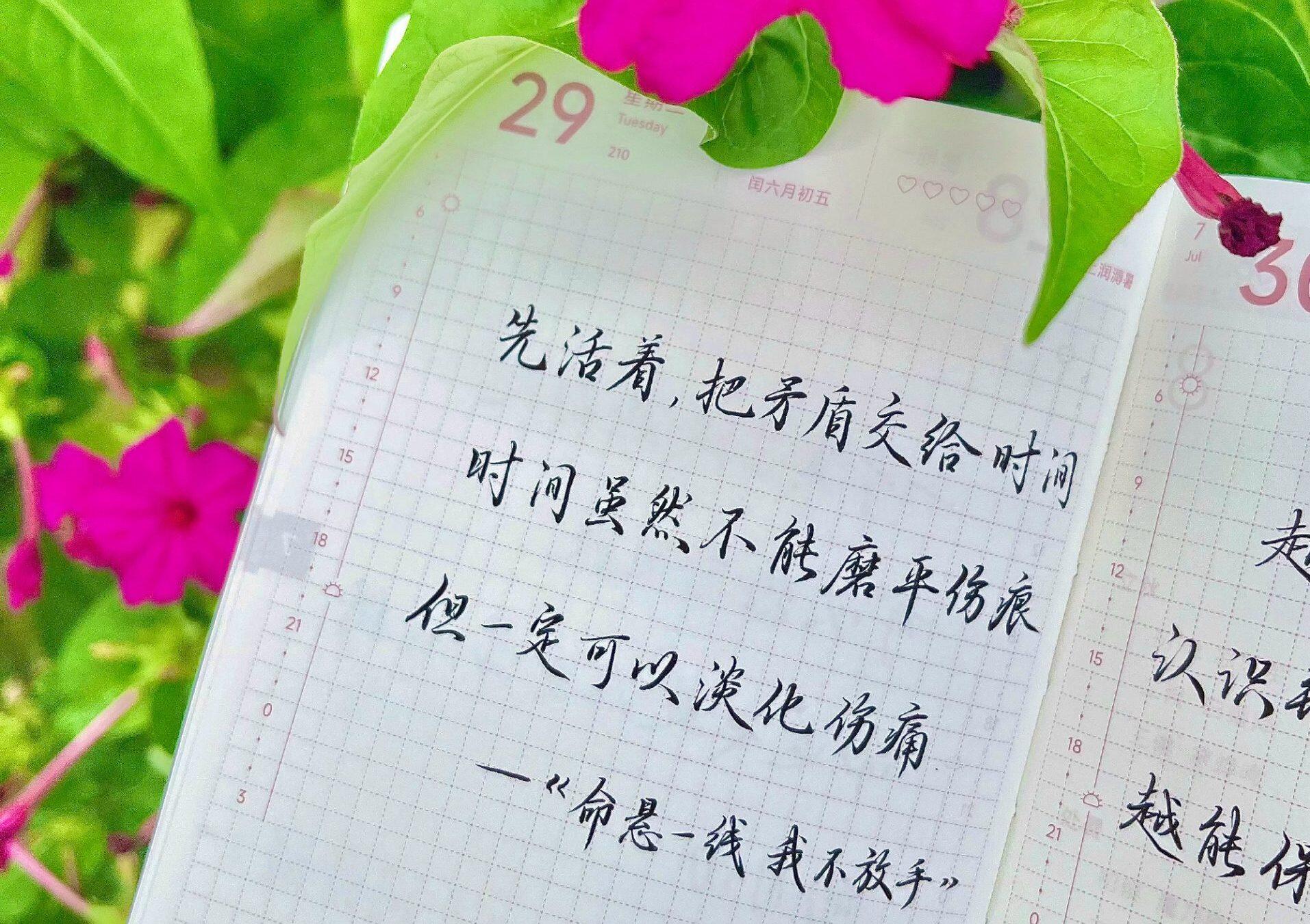 当下熬不过去的，都交给未来的自己