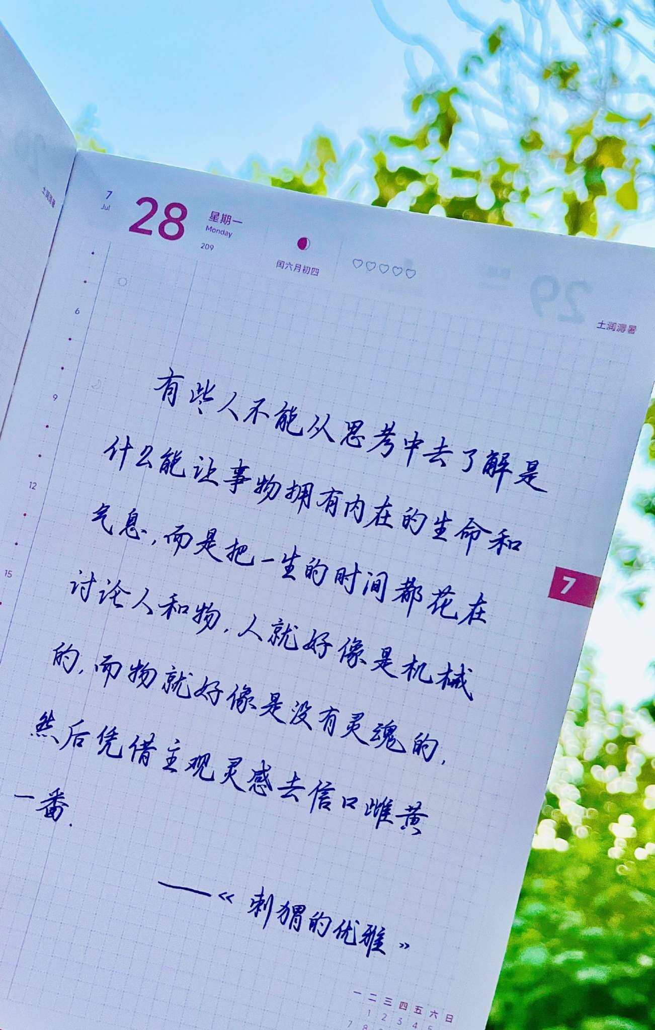 自在手帐2025年7月28日
