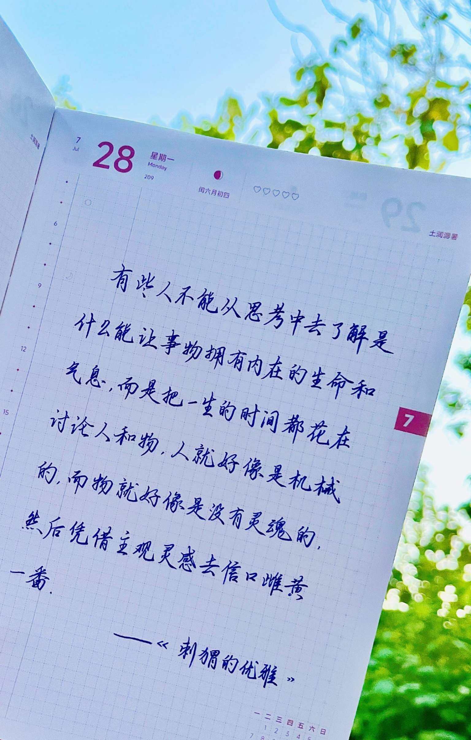 自在手帐2025年7月28日