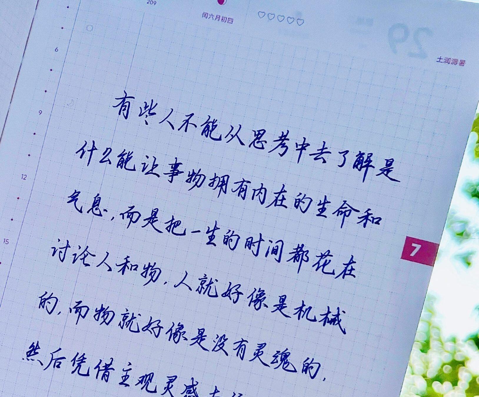 万物皆有灵性法则