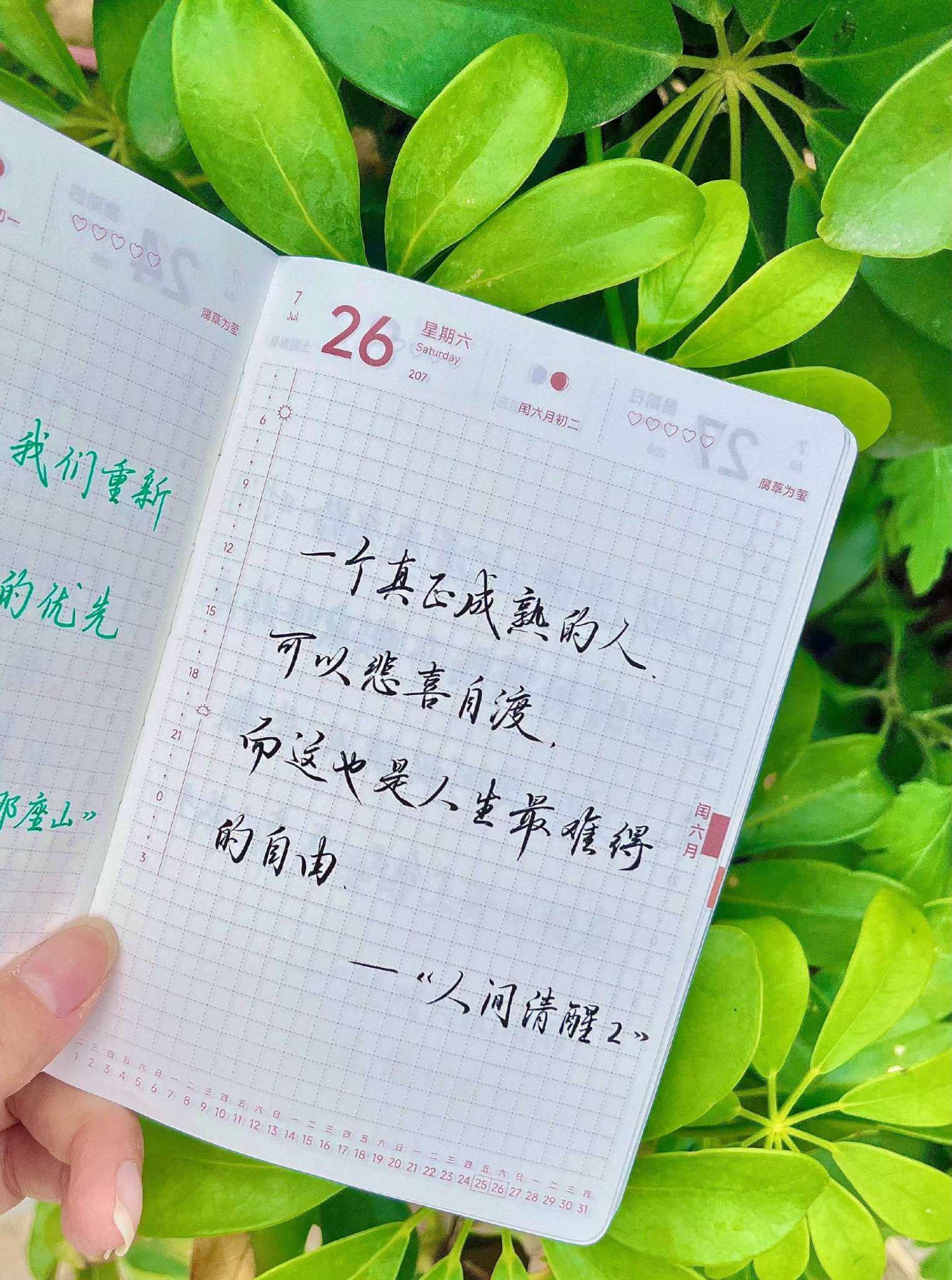 自在手帐2026年7月26日