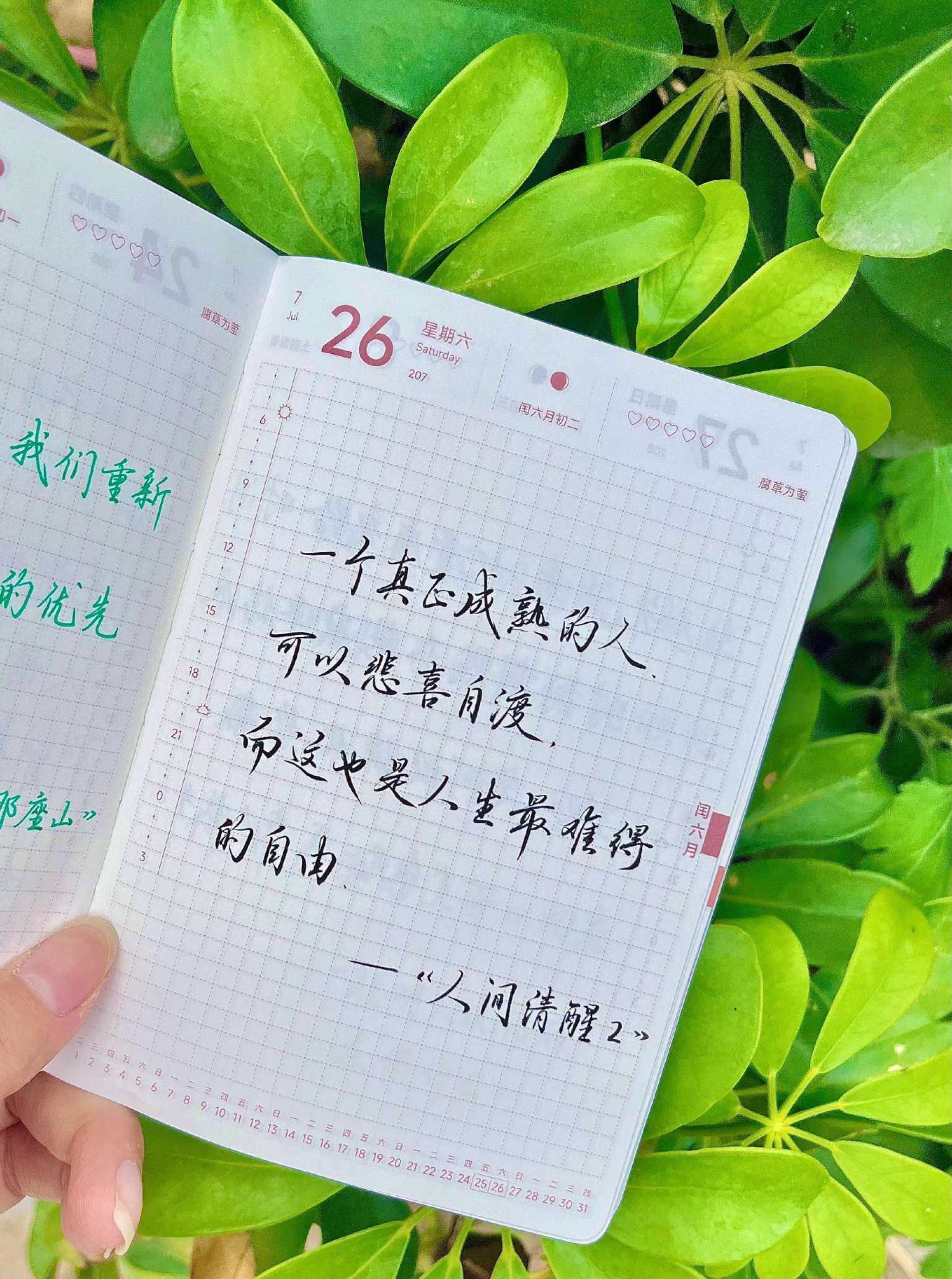 自在手帐2026年7月26日