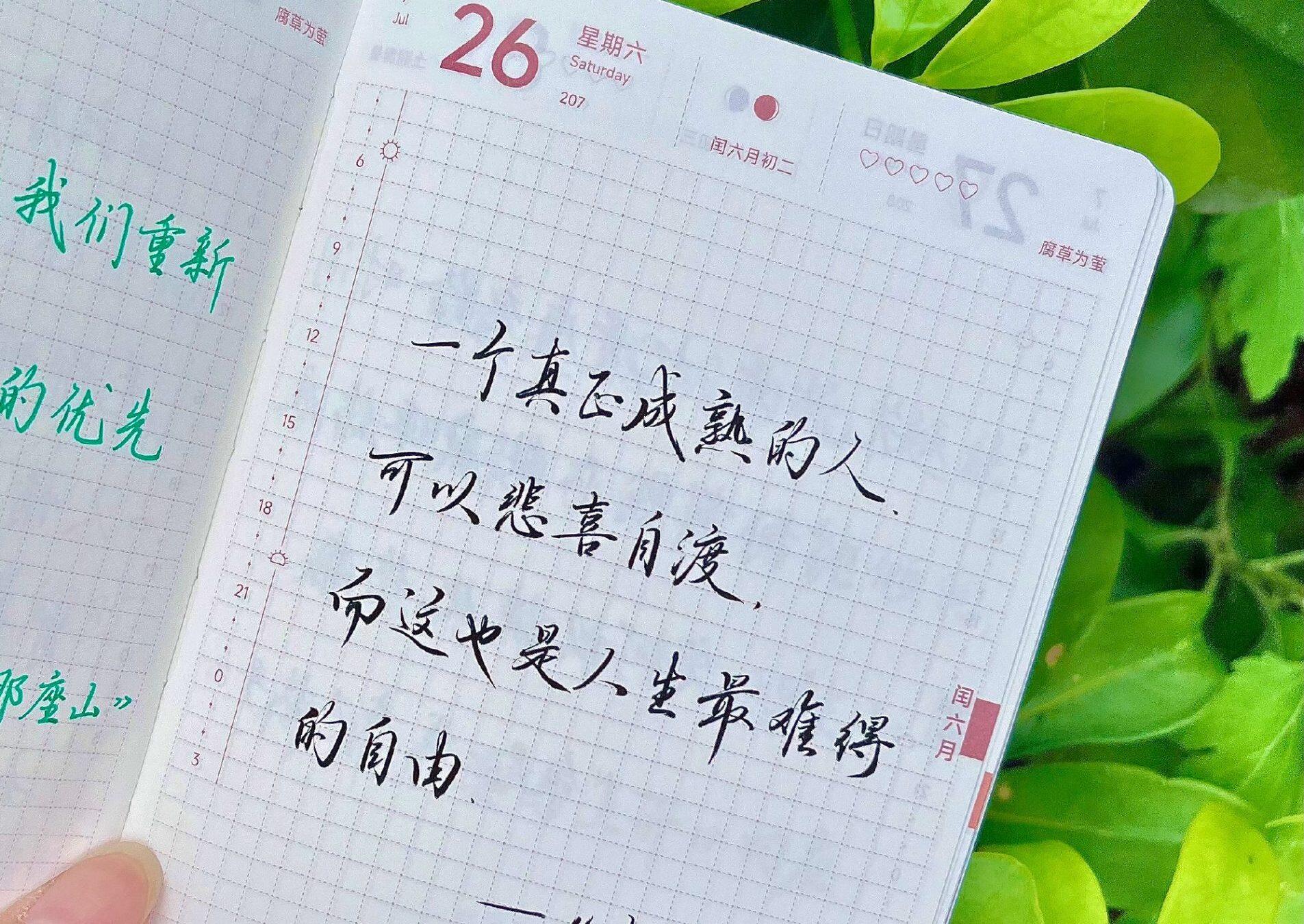 成年人的顶级自由