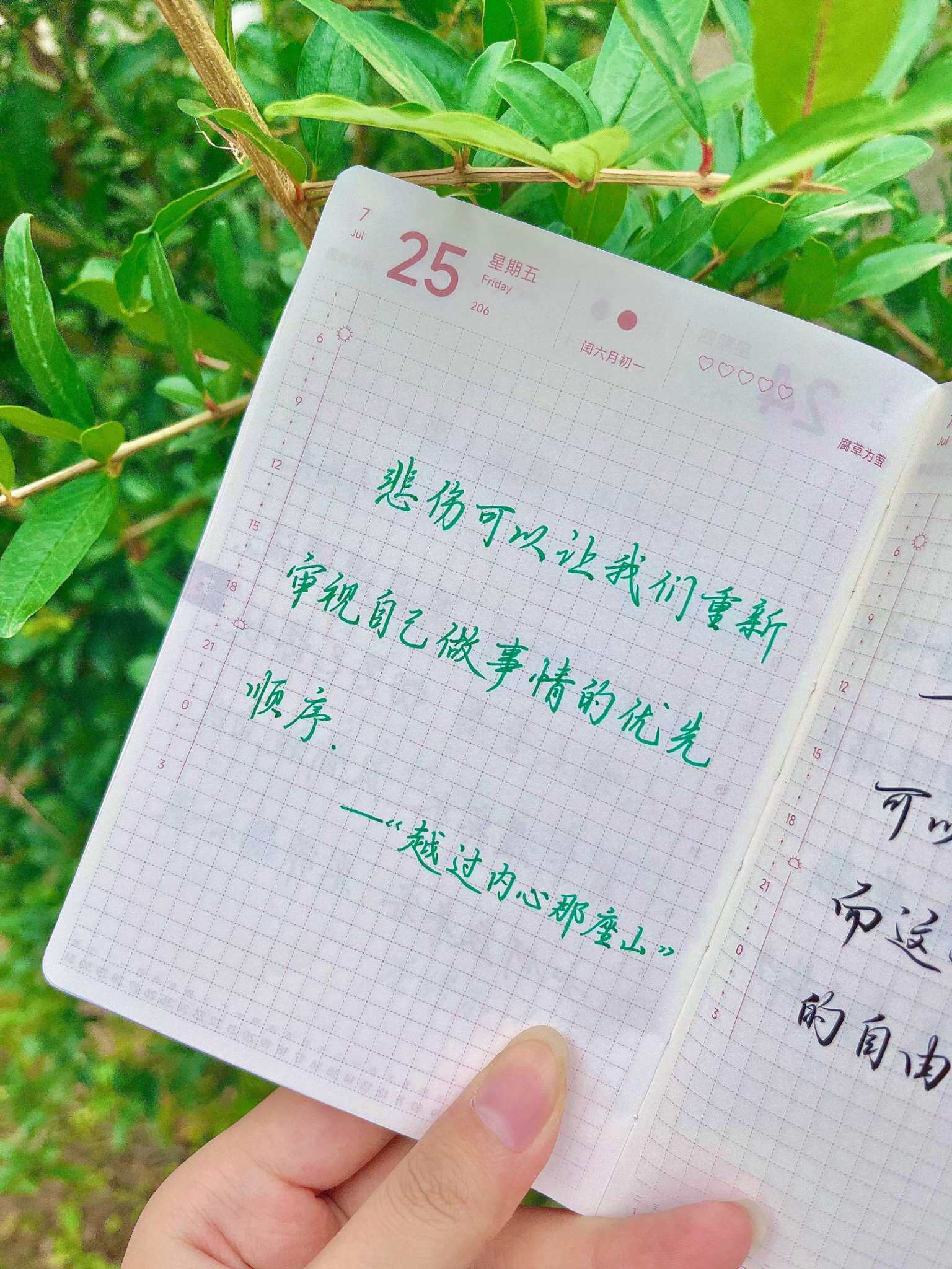 自在手帐2025年7月25日