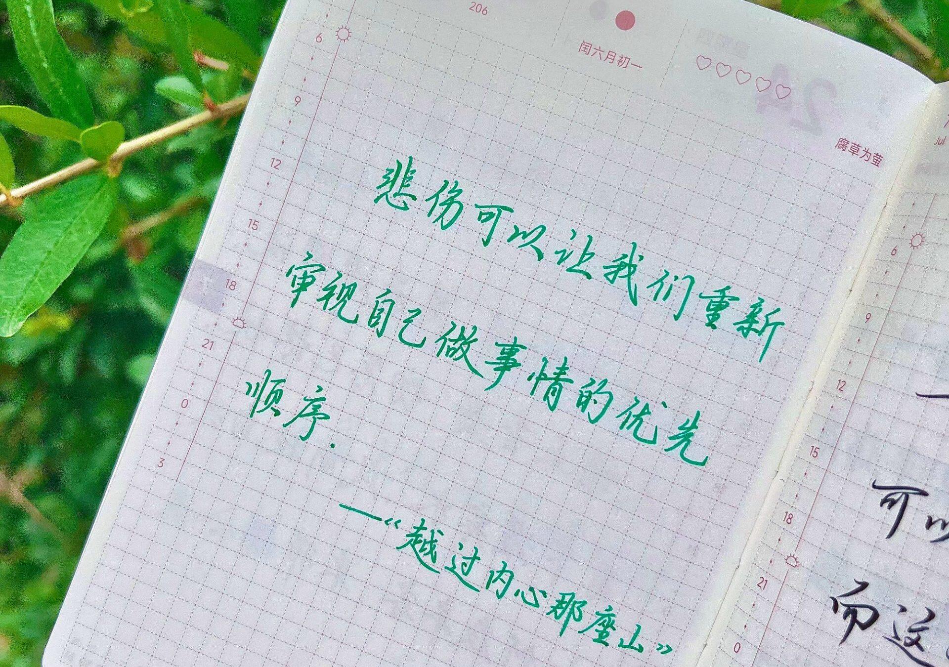 悲伤是生命的强制复盘