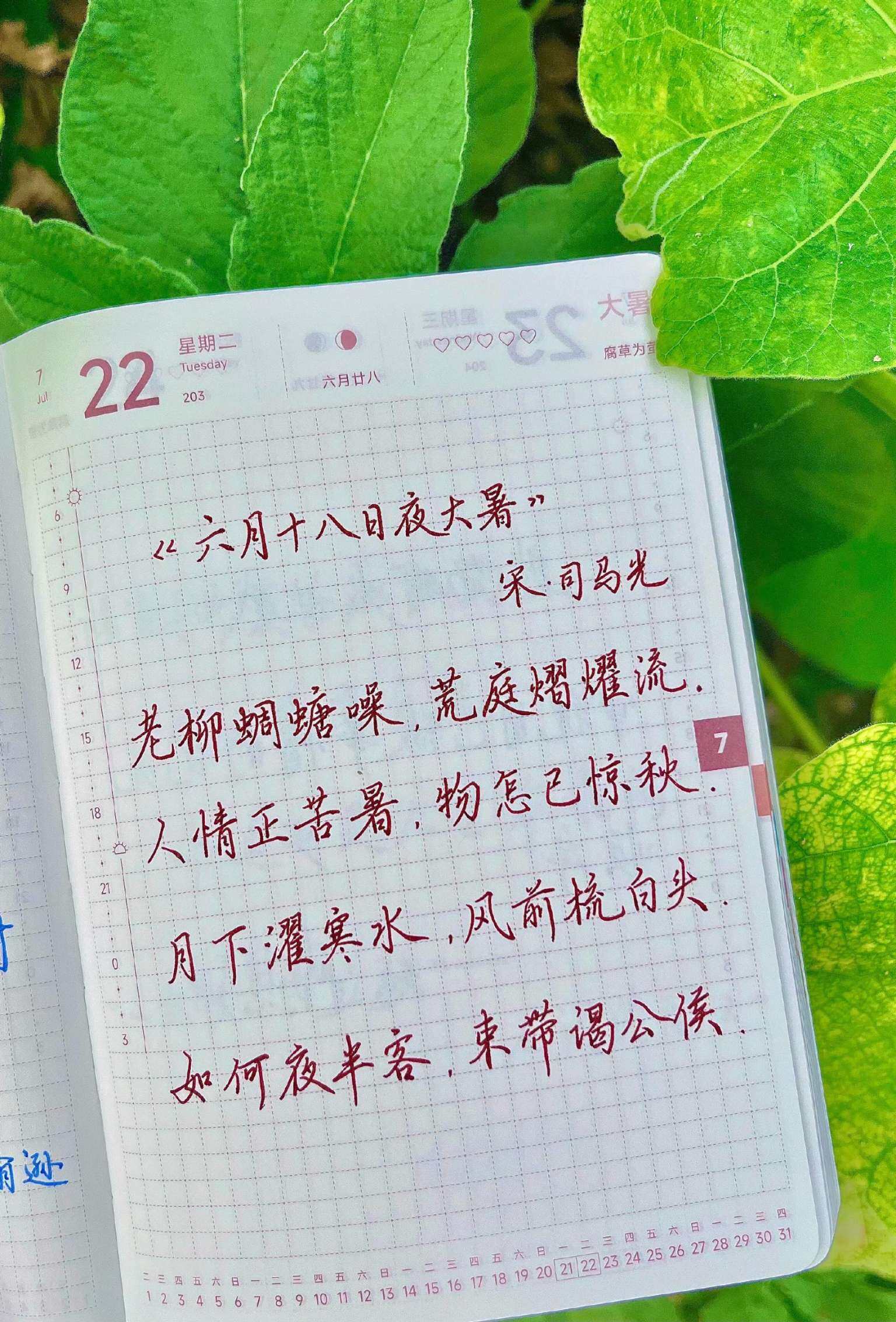 自在手帐2025年7月22日
