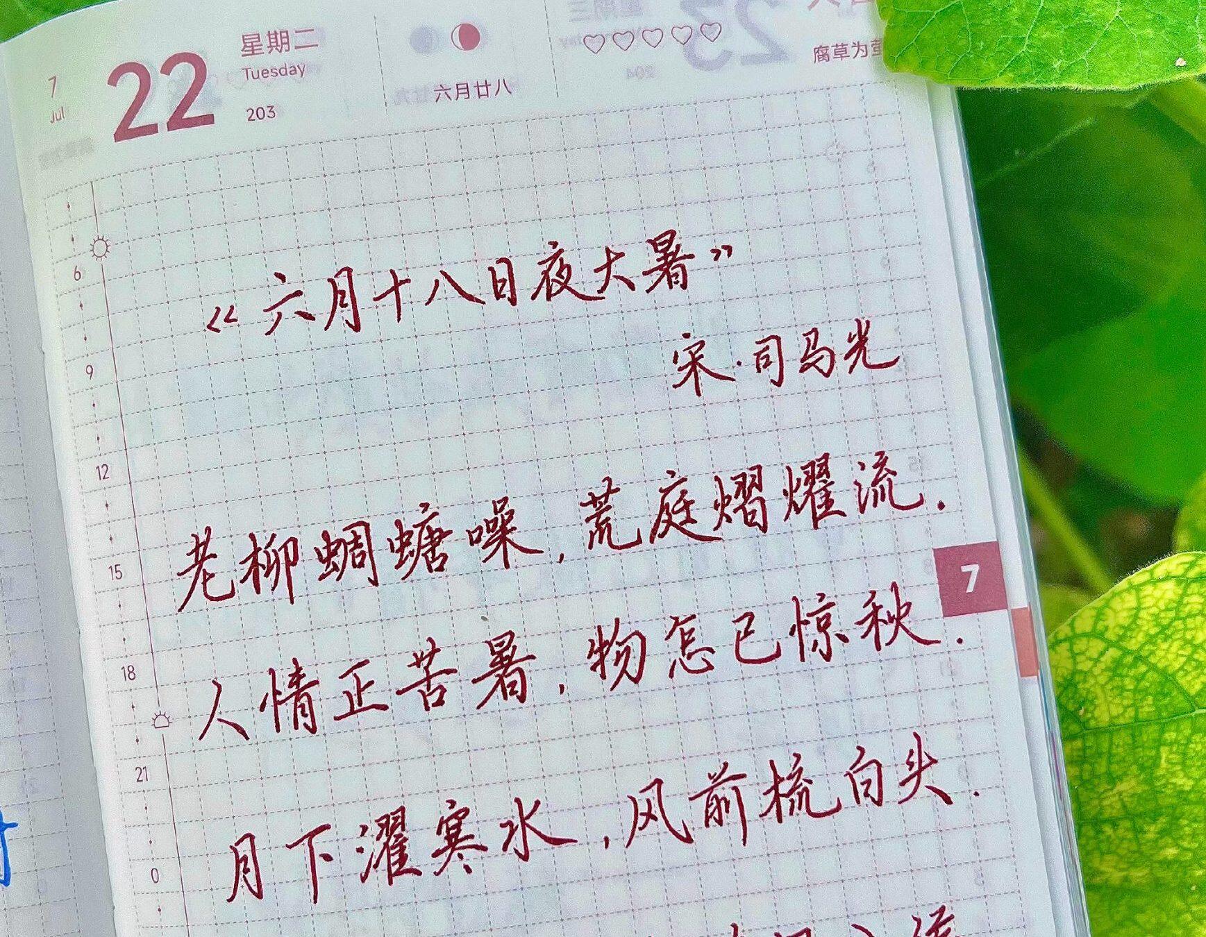 大暑|二十四节气|乙巳年