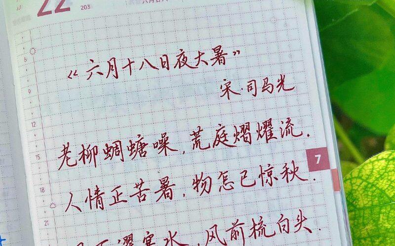 大暑|二十四节气|乙巳年