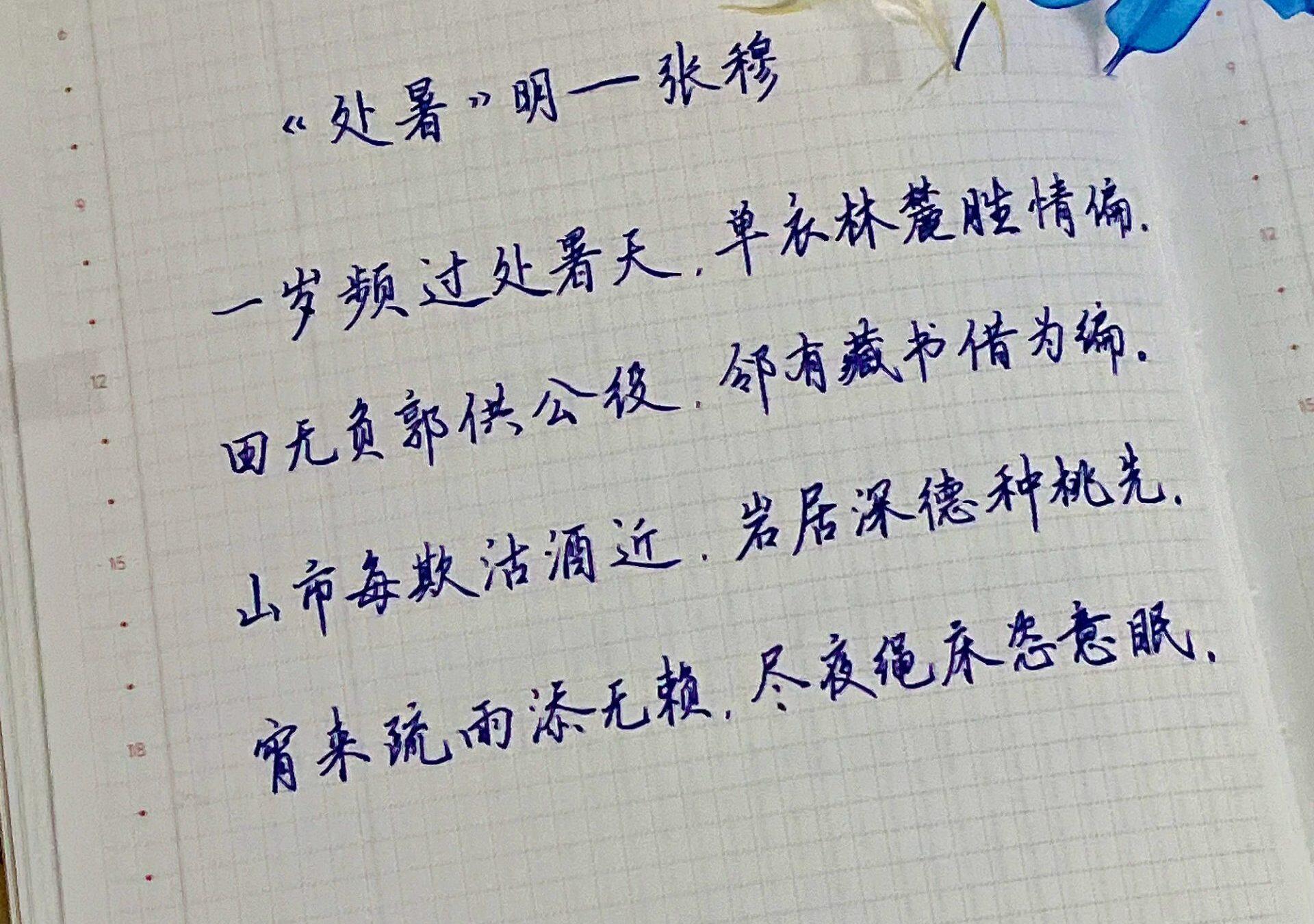 处暑|二十四节气|乙巳年