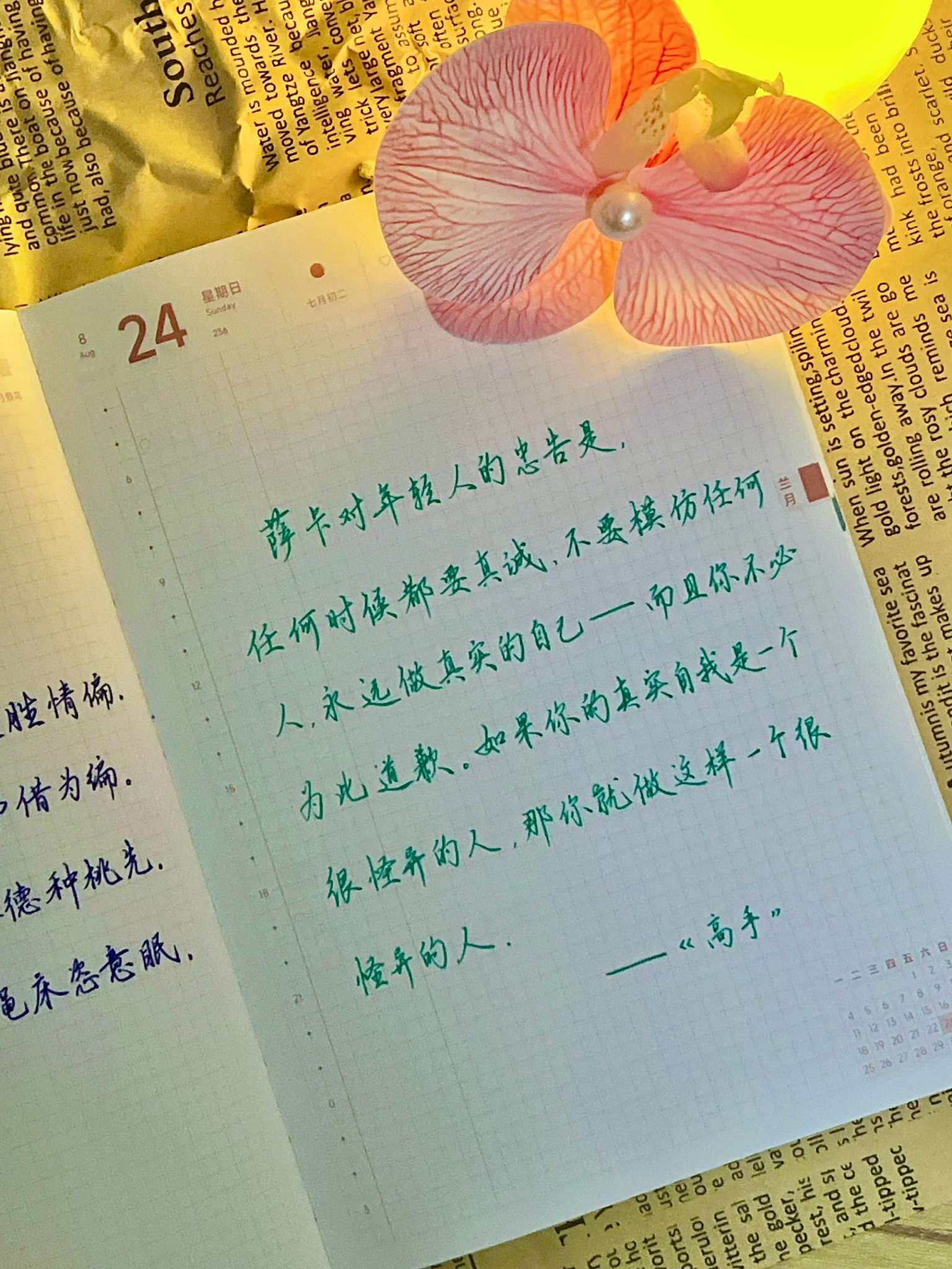 自在手帐2025年8月24日