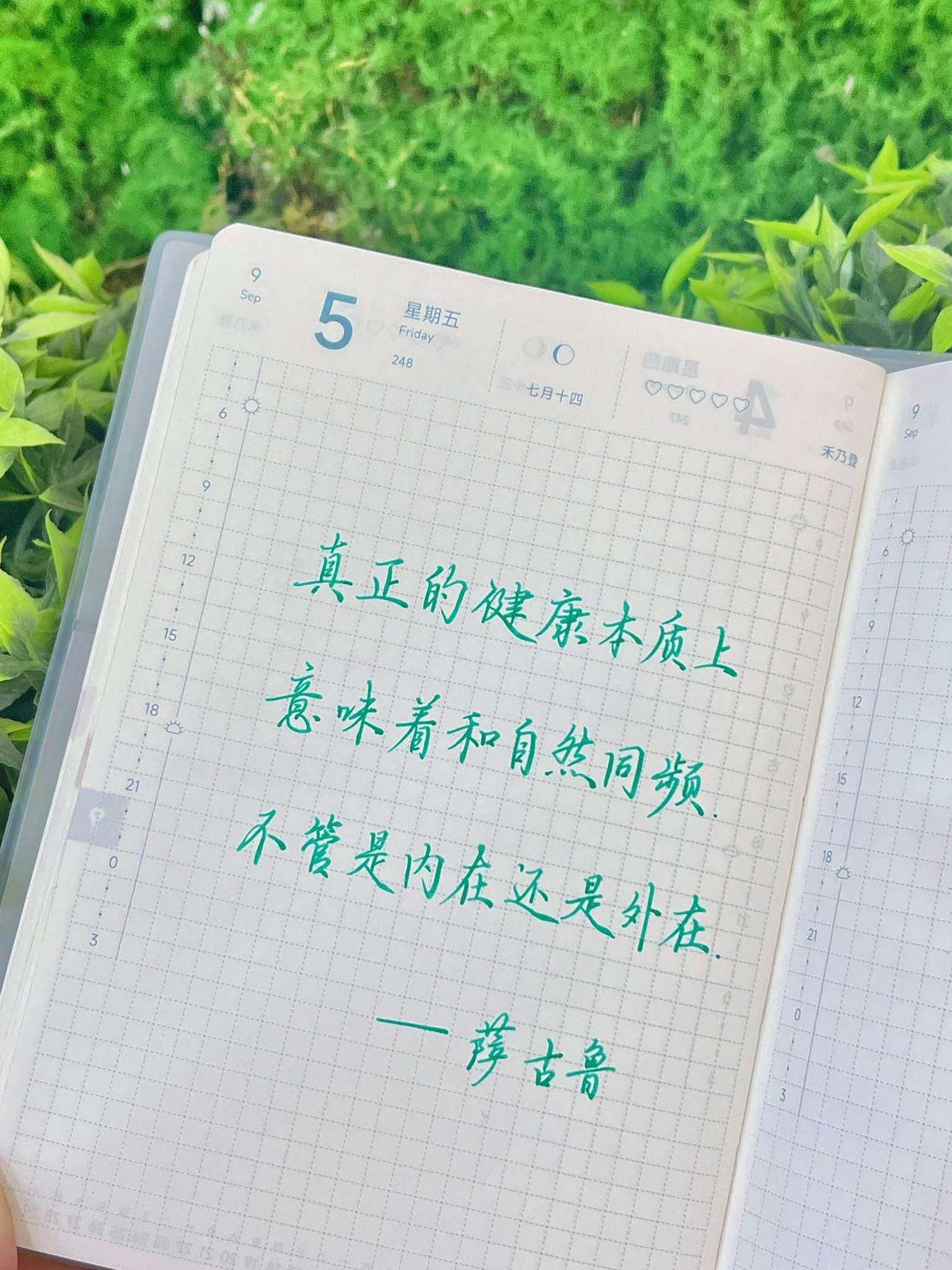 自在手帐2025年9月5日